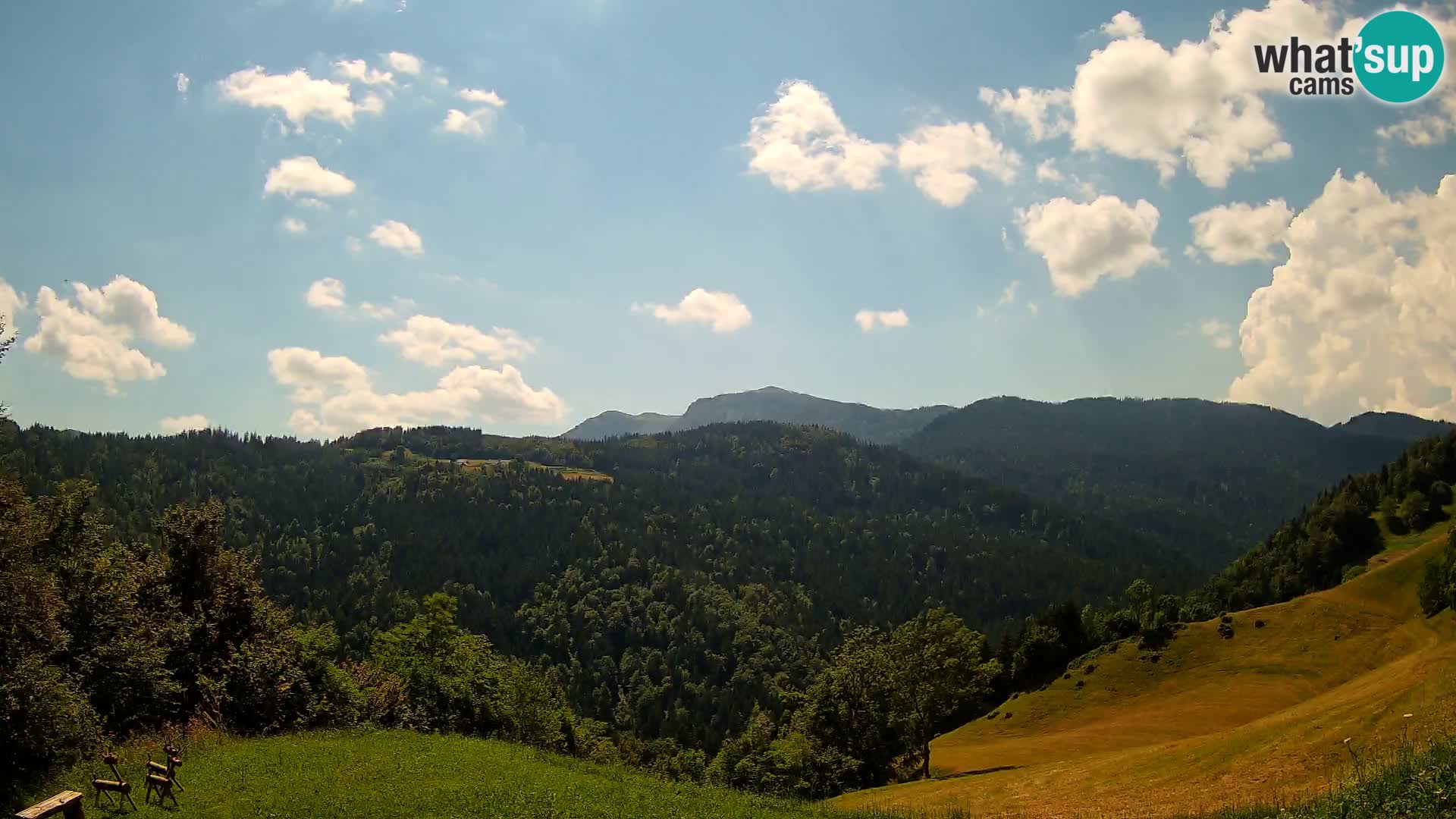 Web kamera Brunarica Dražgoše – Pogled uživo na Ratitovec (1666 m)