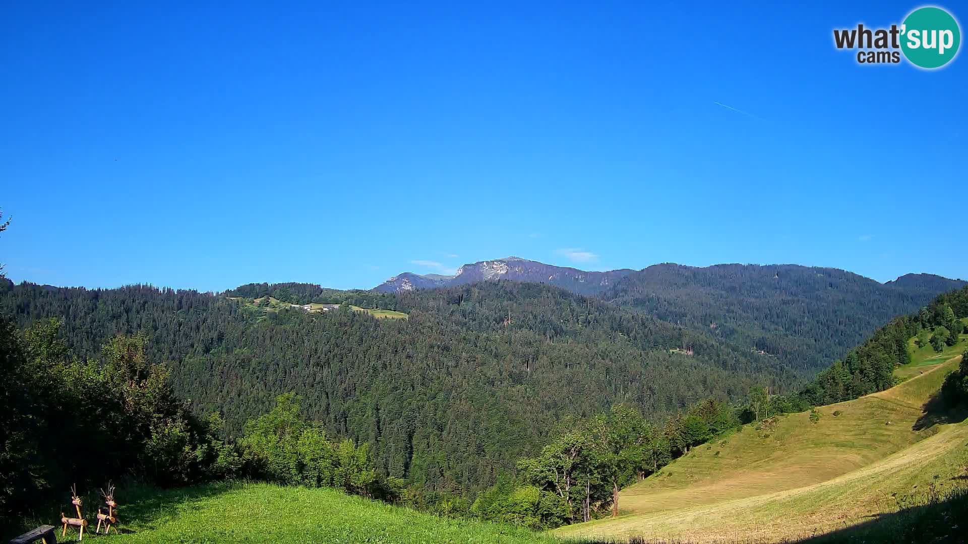 Webcam Brunarica Dražgoše – Live View of Ratitovec (1666 m)