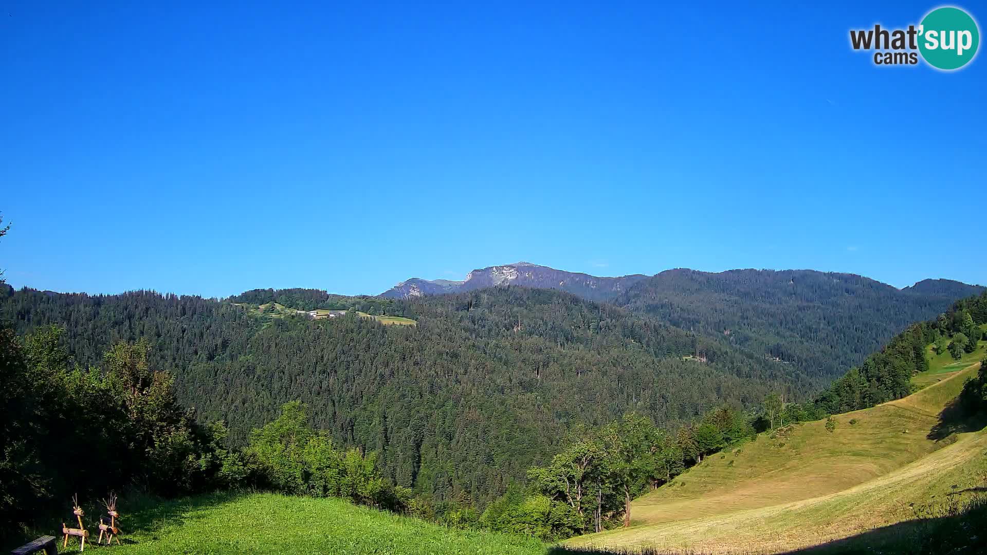 Webcam Brunarica Dražgoše – Live View of Ratitovec (1666 m)