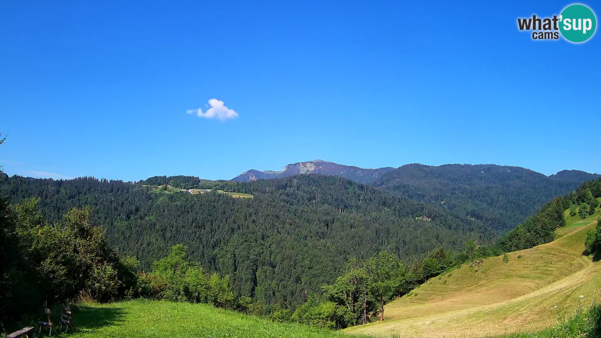 Webcam Brunarica Dražgoše – Live View of Ratitovec (1666 m)