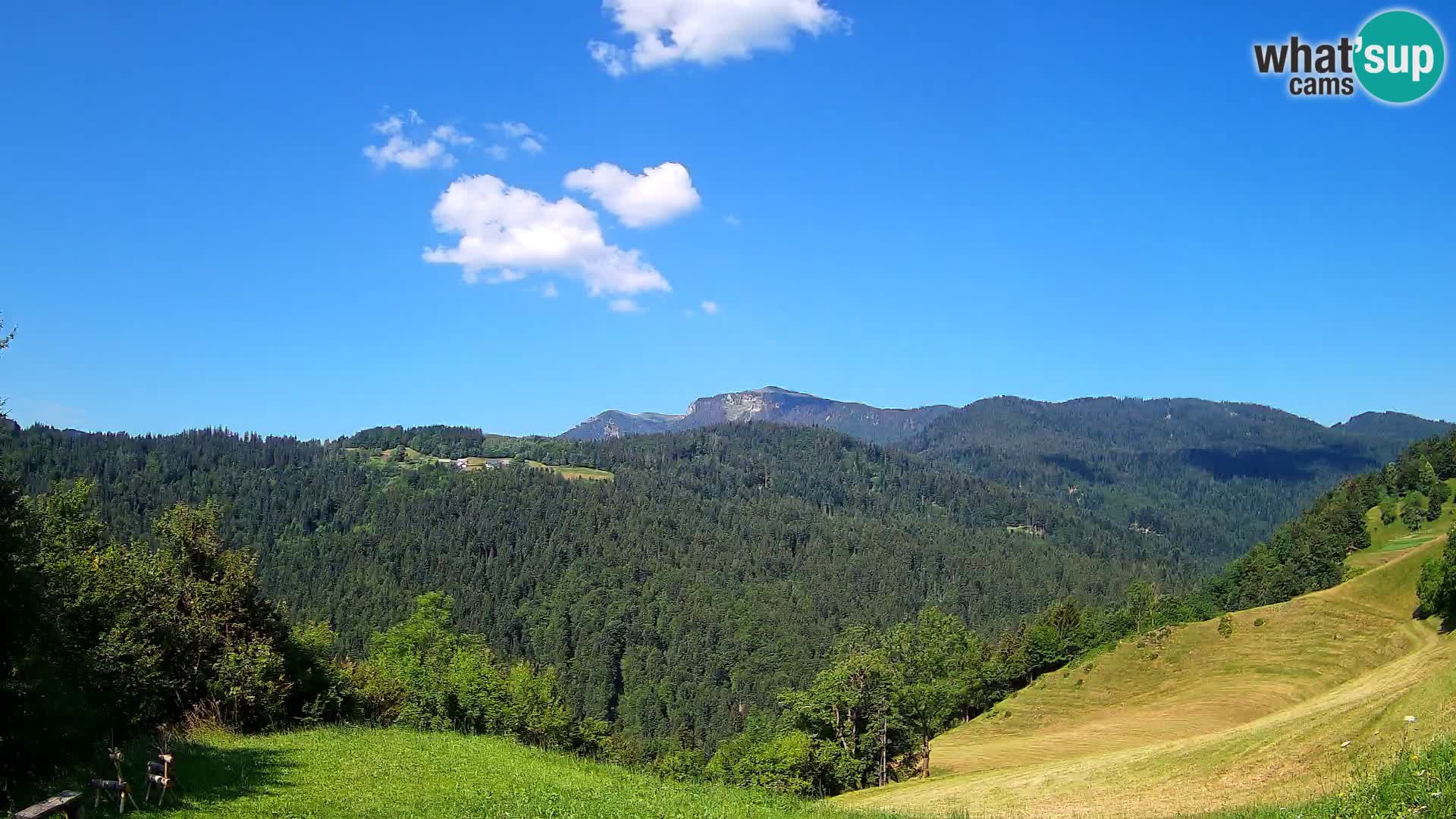 Webcam Brunarica Dražgoše – Live View of Ratitovec (1666 m)