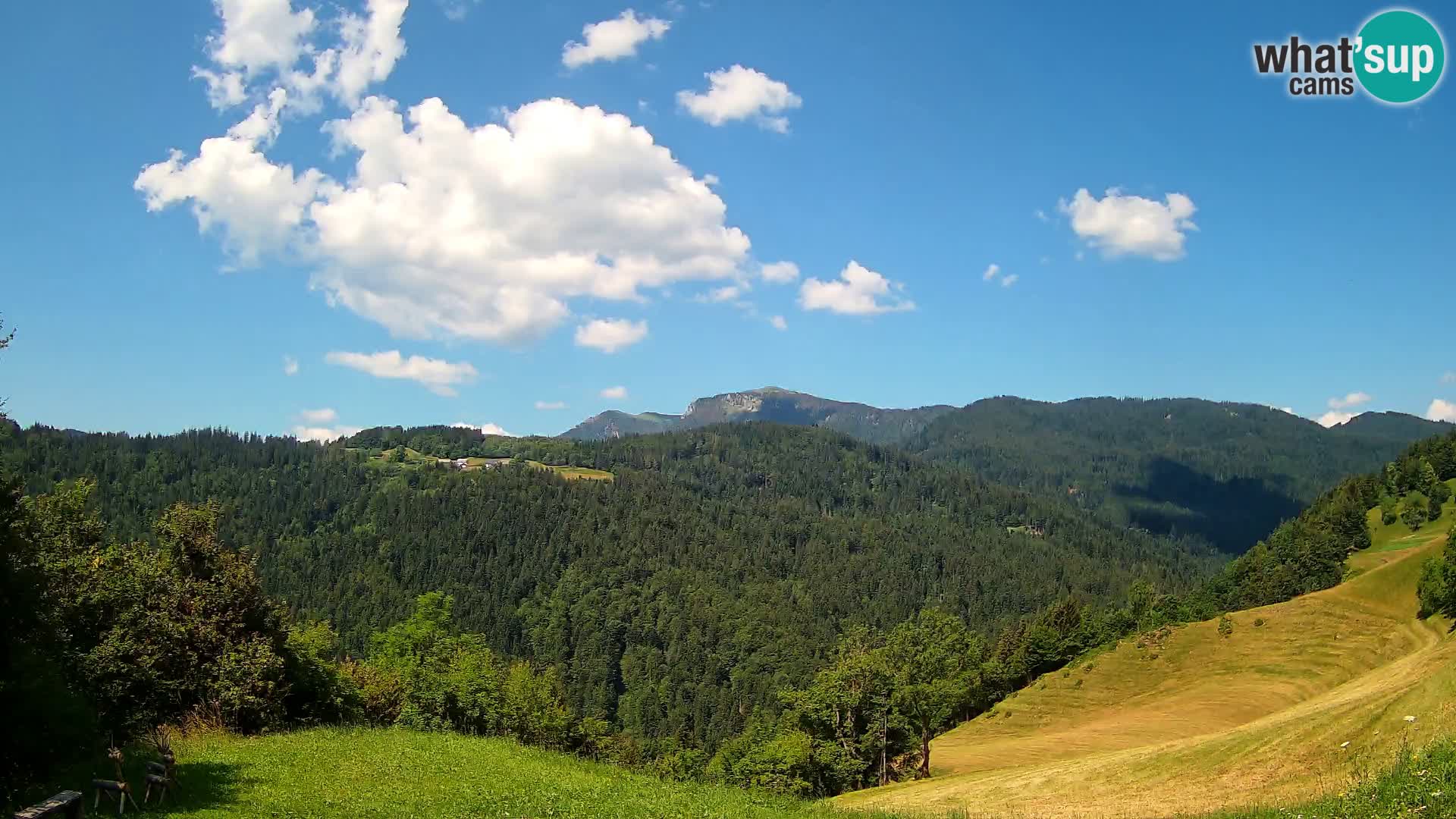 Webcam Brunarica Dražgoše – Vista live sul Ratitovec (1666 m)