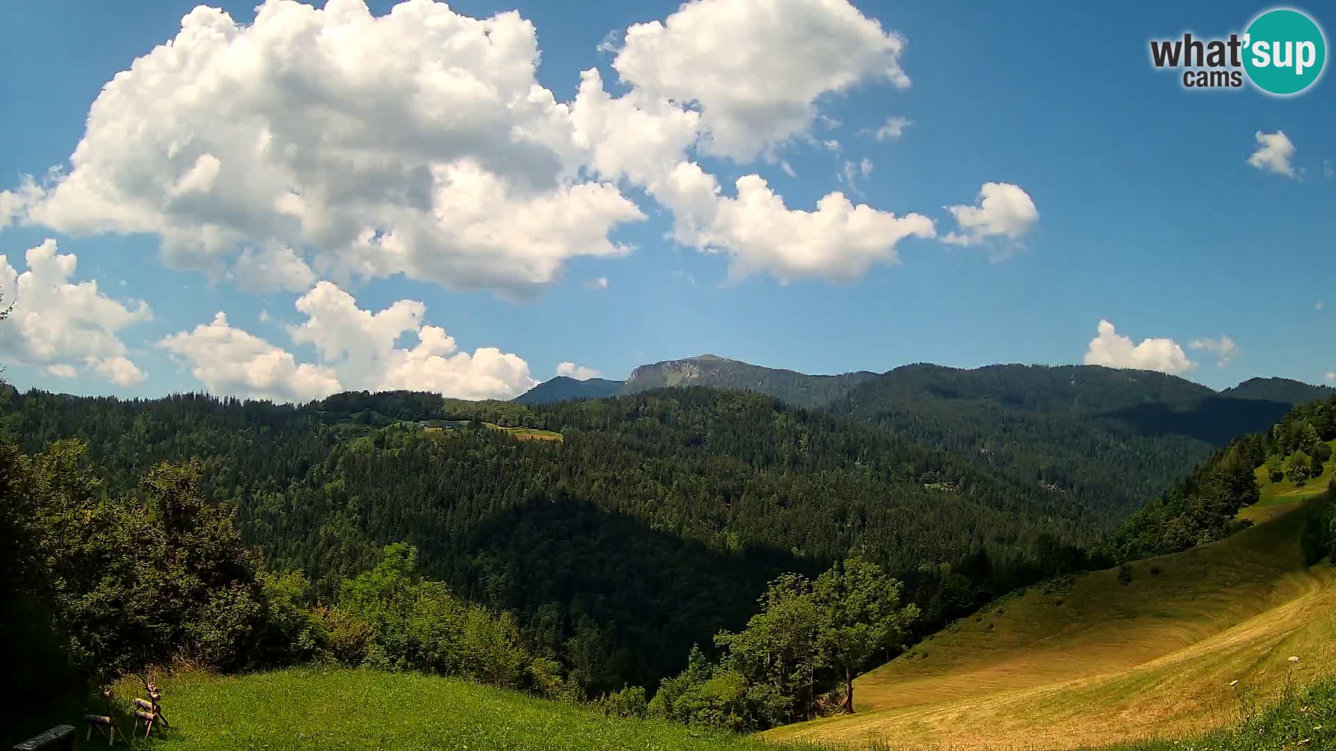 Webcam Brunarica Dražgoše – Live View of Ratitovec (1666 m)