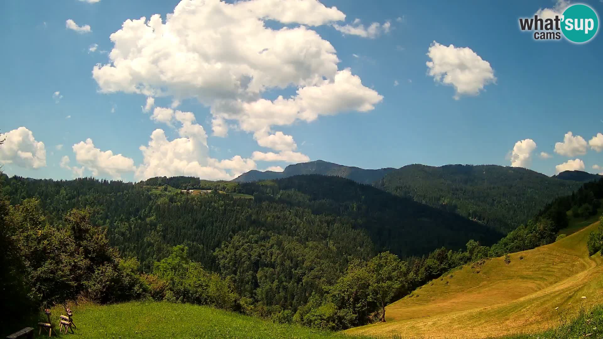 Webcam Brunarica Dražgoše – Live View of Ratitovec (1666 m)