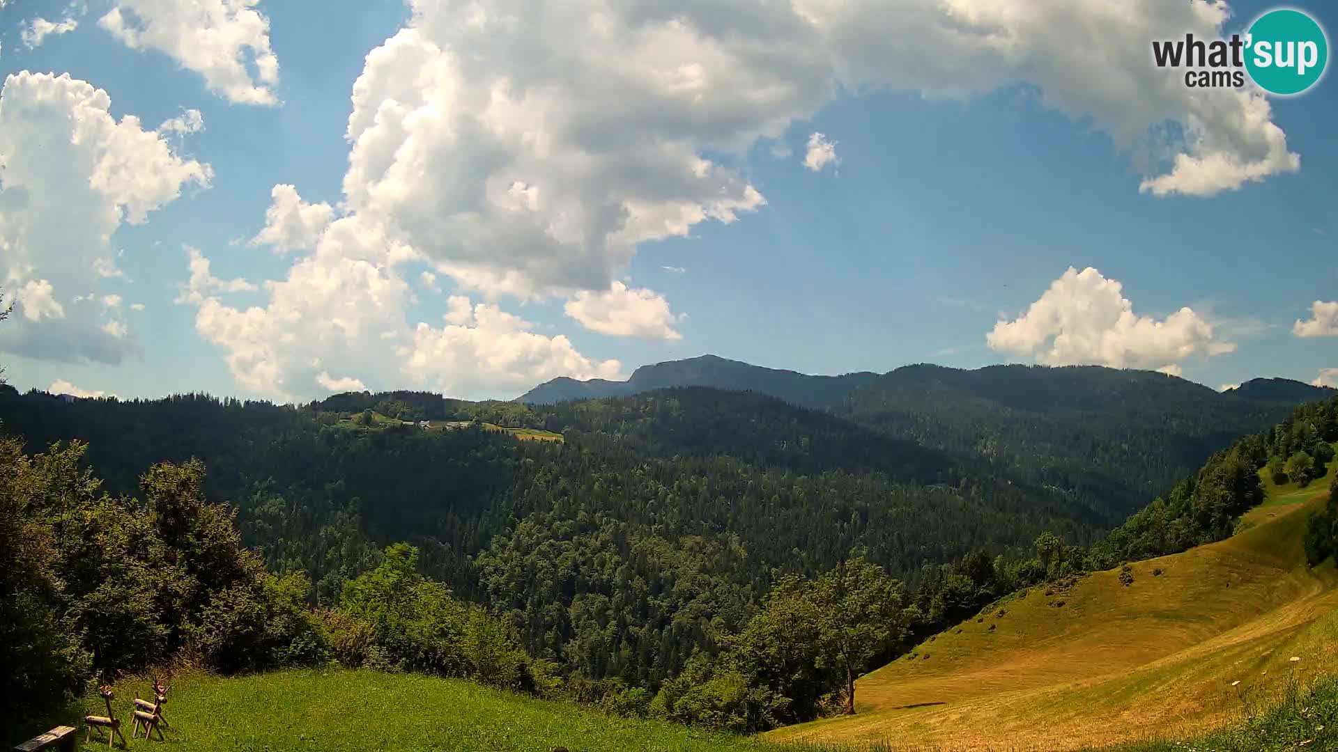 Web kamera Brunarica Dražgoše – Pogled uživo na Ratitovec (1666 m)