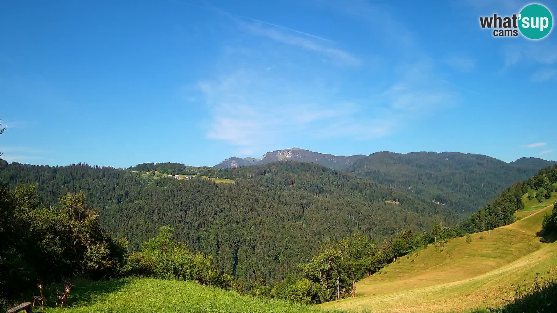Webcam Brunarica Dražgoše – Live View of Ratitovec (1666 m)