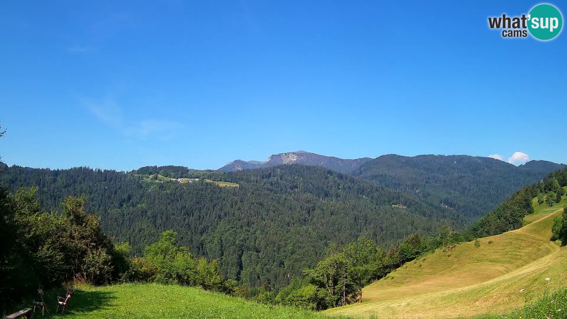 Webcam Brunarica Dražgoše – Live View of Ratitovec (1666 m)