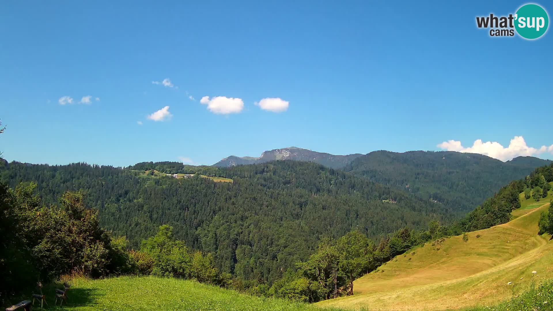 Webcam Brunarica Dražgoše – Vista live sul Ratitovec (1666 m)