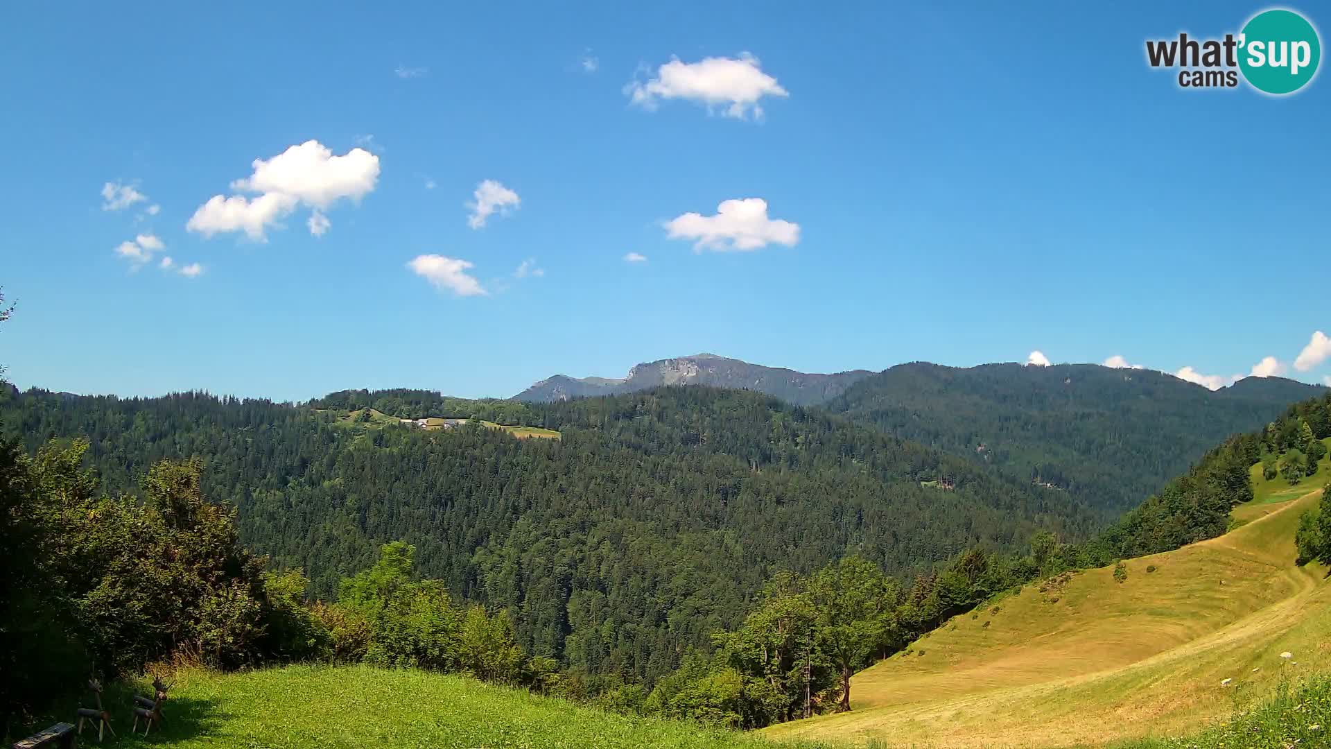 Webcam Brunarica Dražgoše – Live View of Ratitovec (1666 m)
