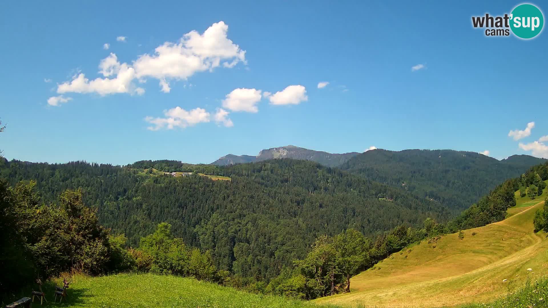 Webcam Brunarica Dražgoše – Live View of Ratitovec (1666 m)