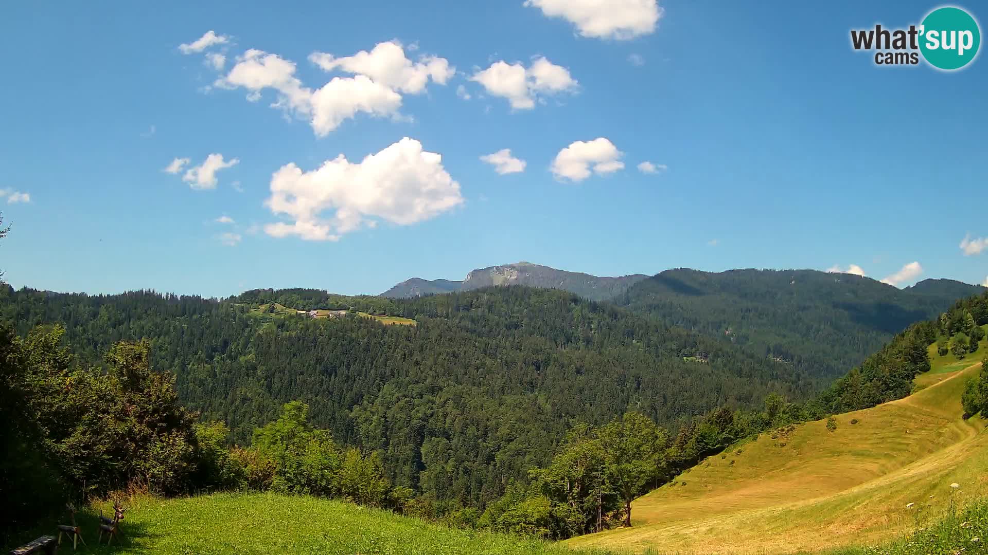 Webcam Brunarica Dražgoše – Live View of Ratitovec (1666 m)