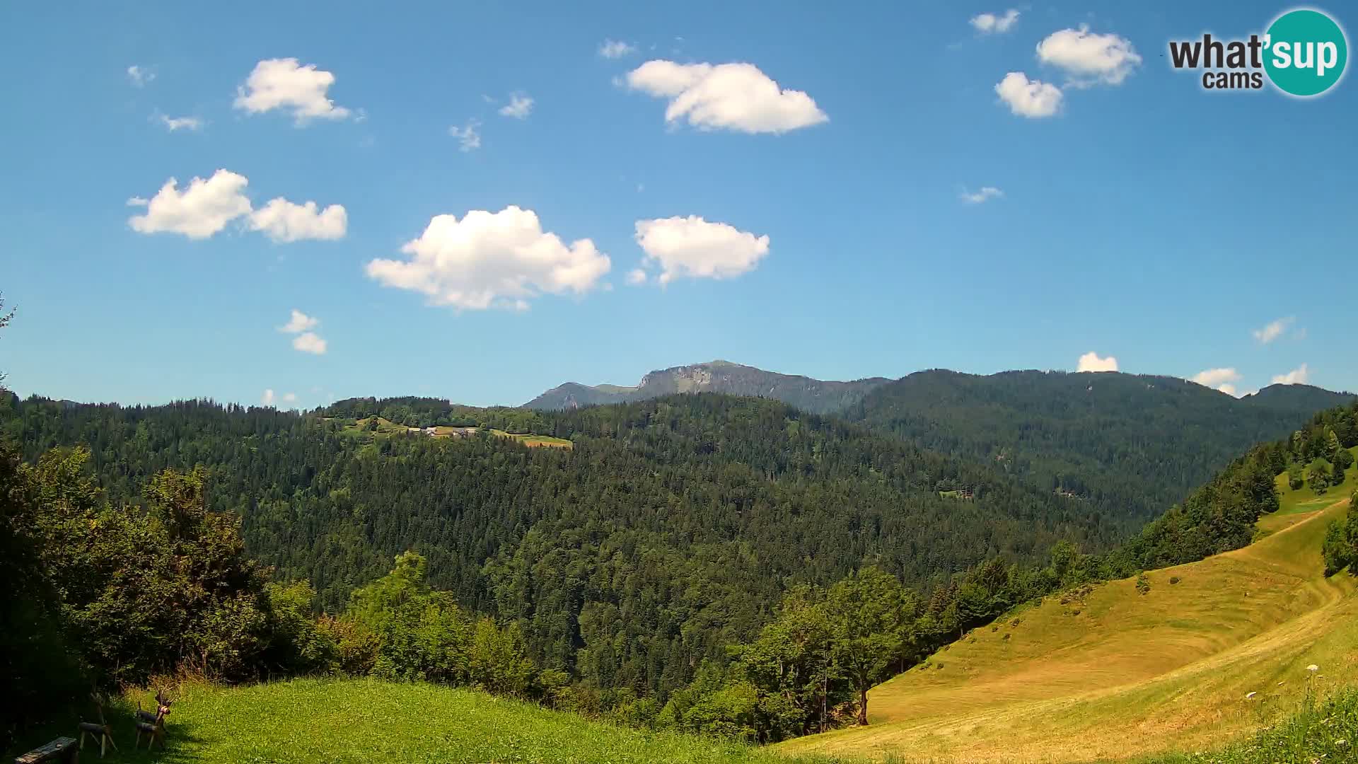 Web kamera Brunarica Dražgoše – Pogled uživo na Ratitovec (1666 m)
