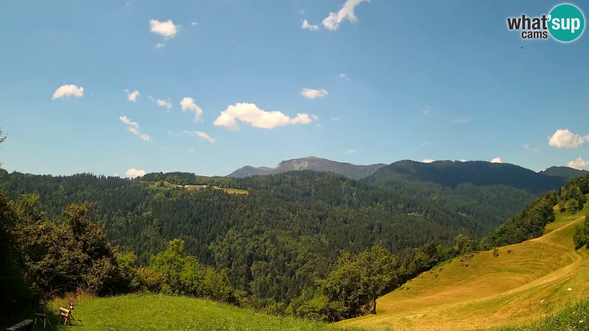 Webcam Brunarica Dražgoše – Liveblick auf Ratitovec (1666 m)