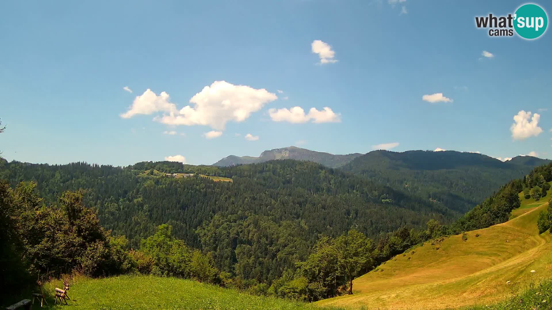 Spletna kamera Brunarica Dražgoše – Pogled v živo na Ratitovec (1666 m)