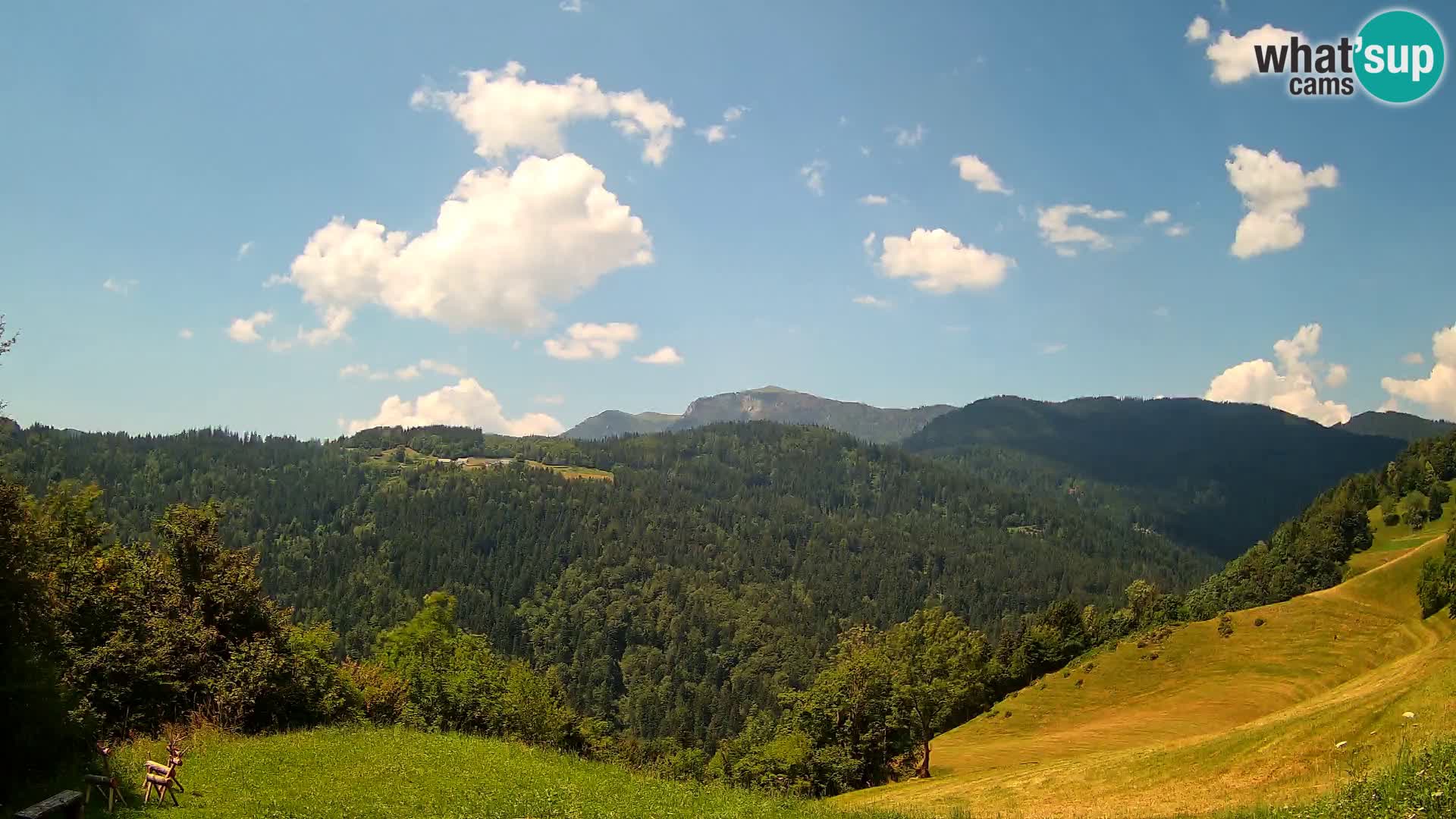 Webcam Brunarica Dražgoše – Live View of Ratitovec (1666 m)