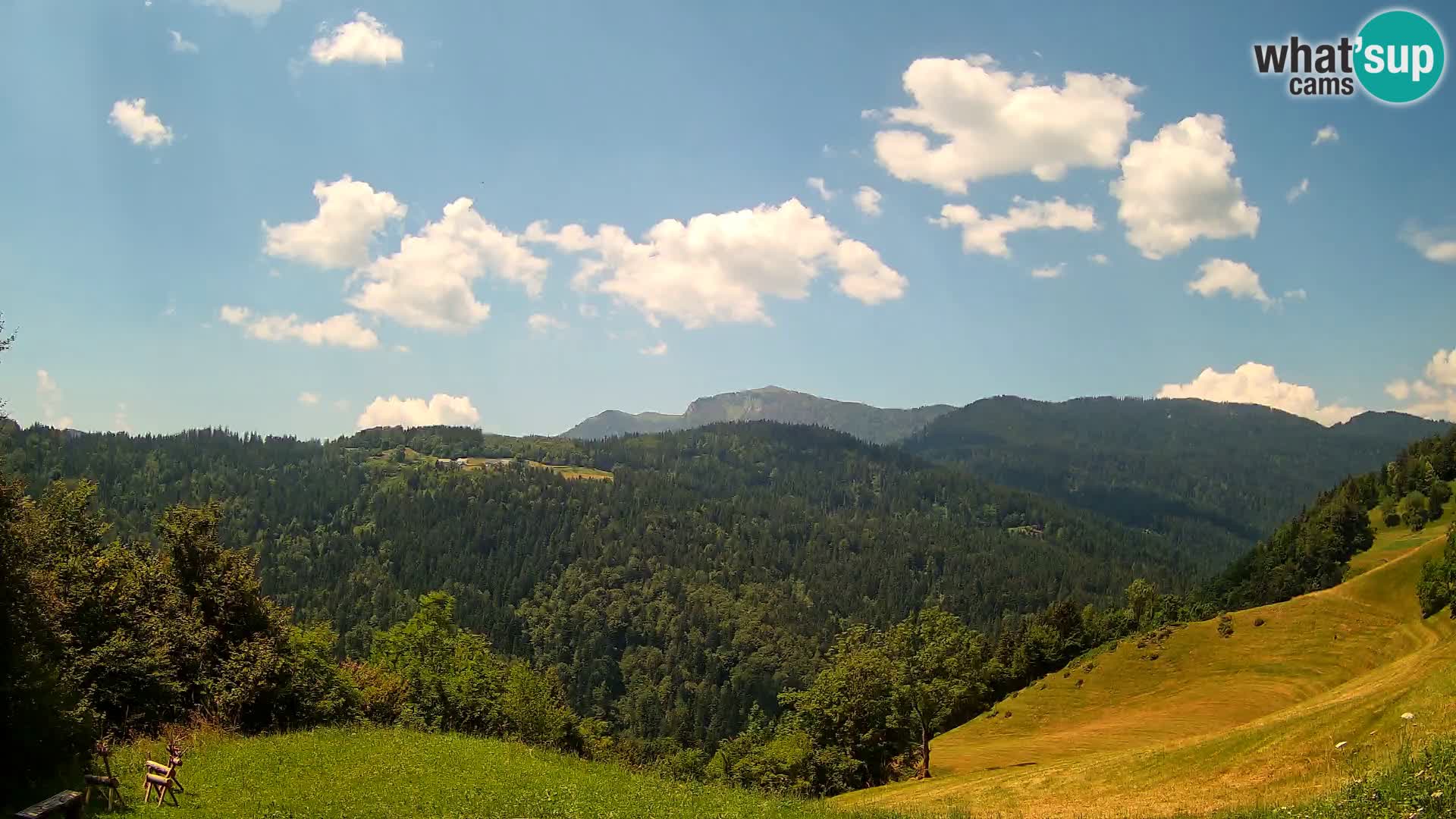 Spletna kamera Brunarica Dražgoše – Pogled v živo na Ratitovec (1666 m)
