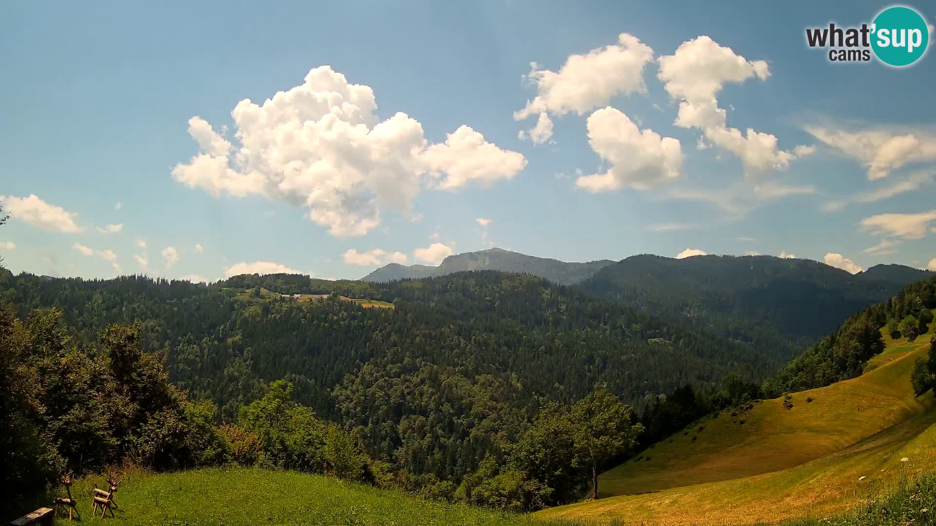 Webcam Brunarica Dražgoše – Live View of Ratitovec (1666 m)
