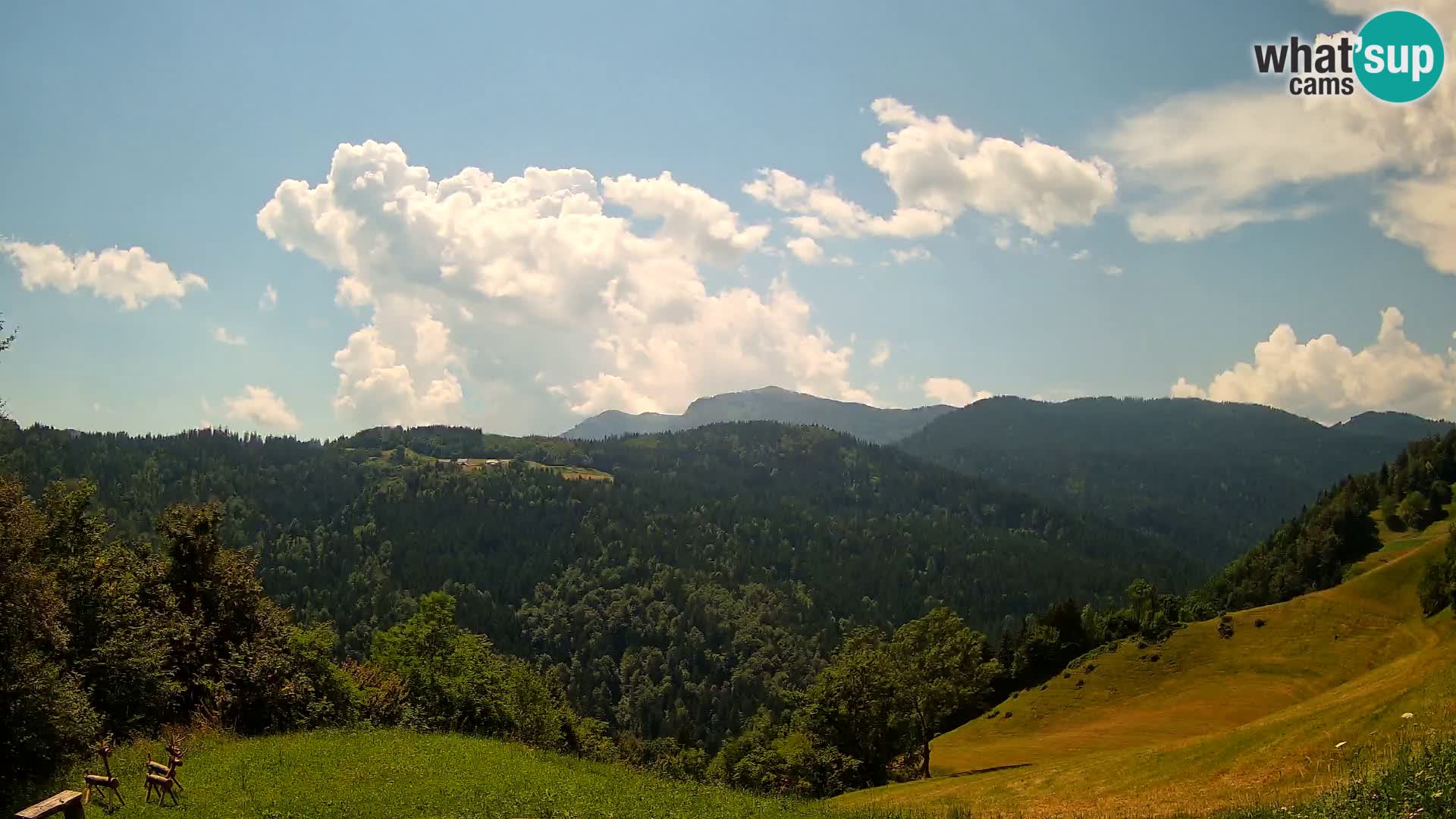 Webcam Brunarica Dražgoše – Live View of Ratitovec (1666 m)