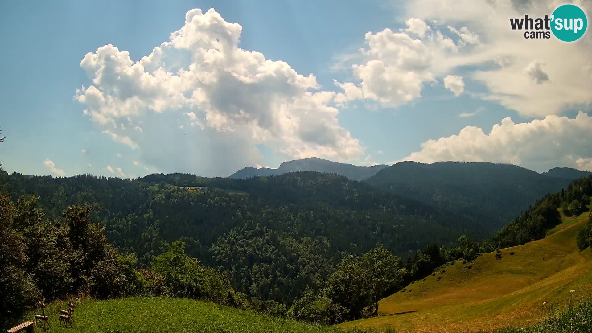 Webcam Brunarica Dražgoše – Live View of Ratitovec (1666 m)