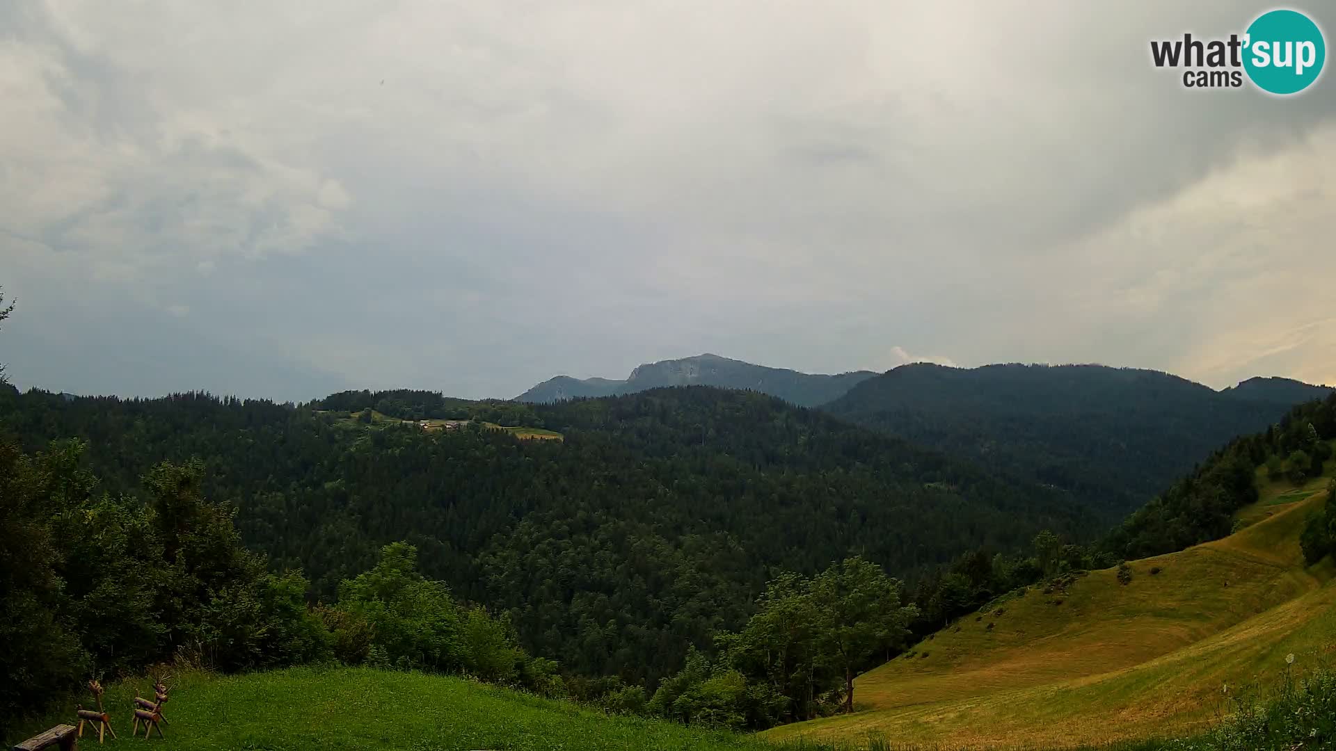 Webcam Brunarica Dražgoše – Live View of Ratitovec (1666 m)