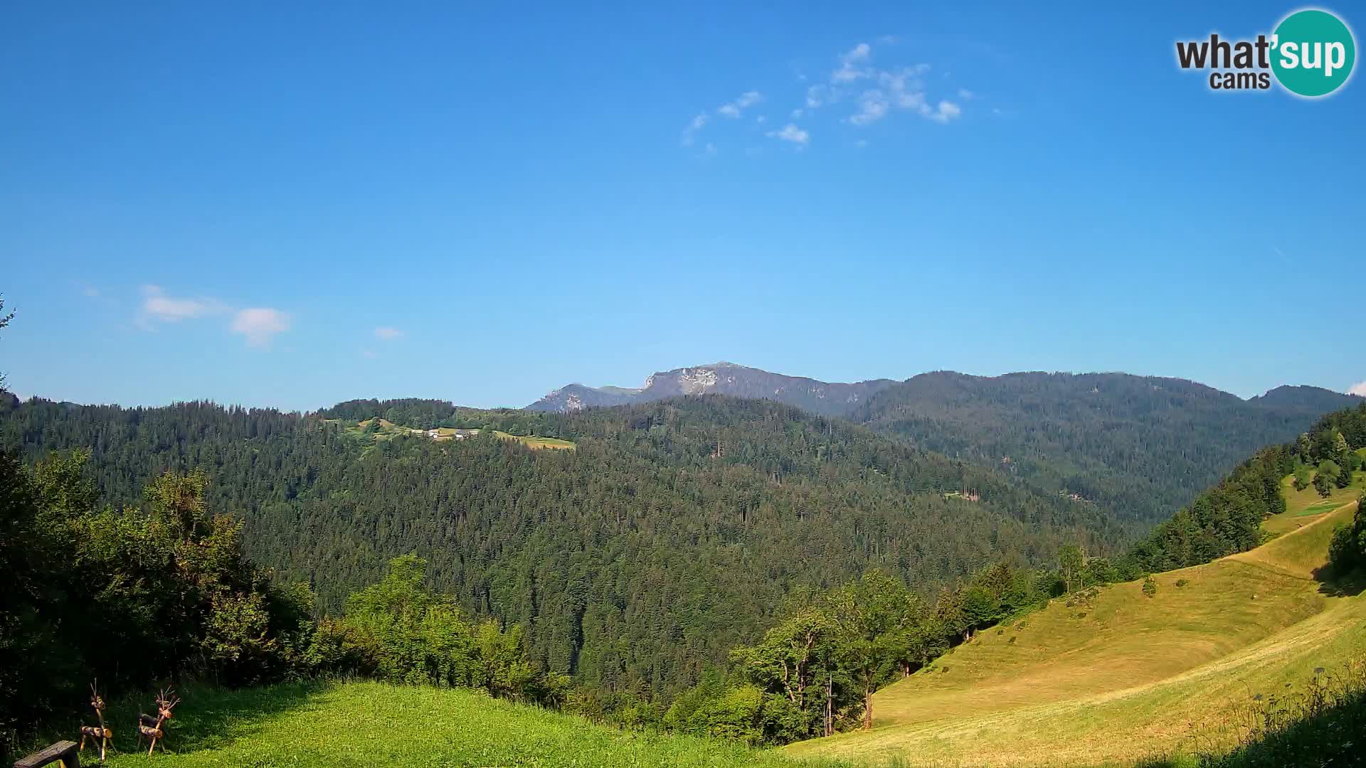 Webcam Brunarica Dražgoše – Live View of Ratitovec (1666 m)