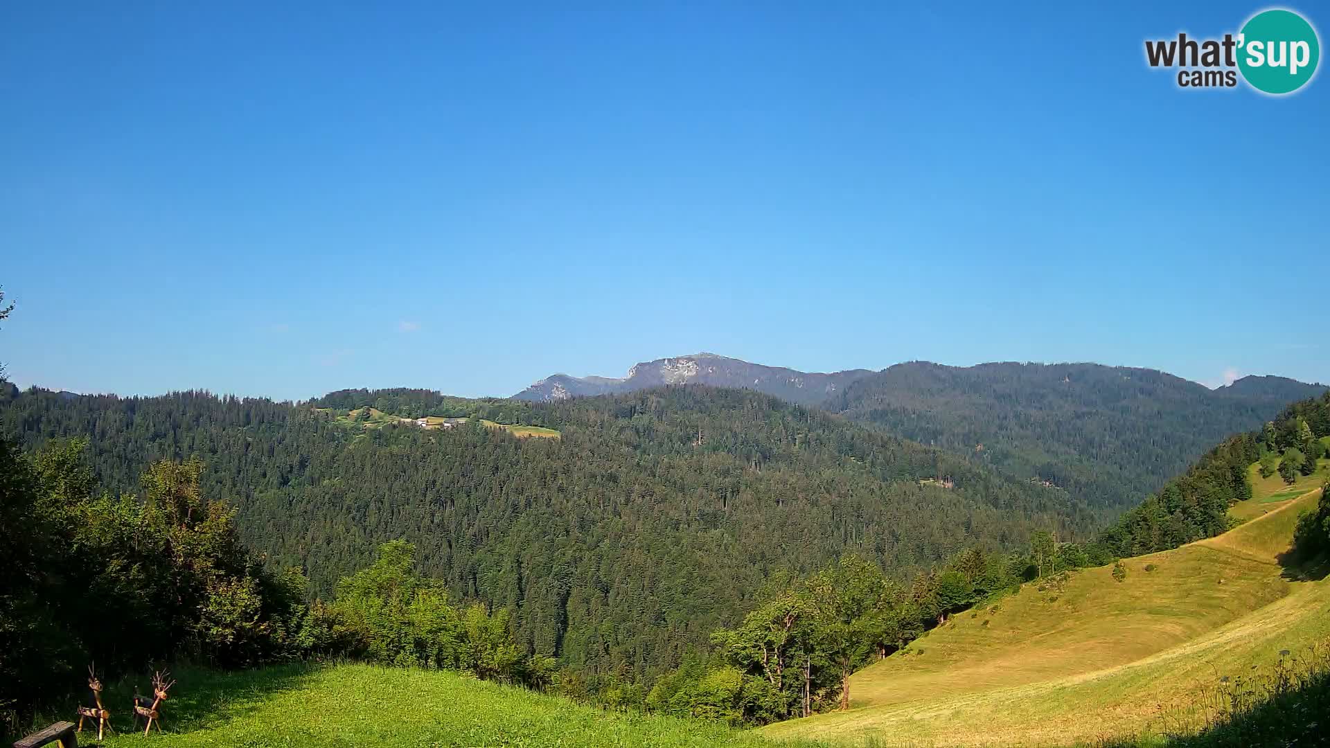 Webcam Brunarica Dražgoše – Live View of Ratitovec (1666 m)