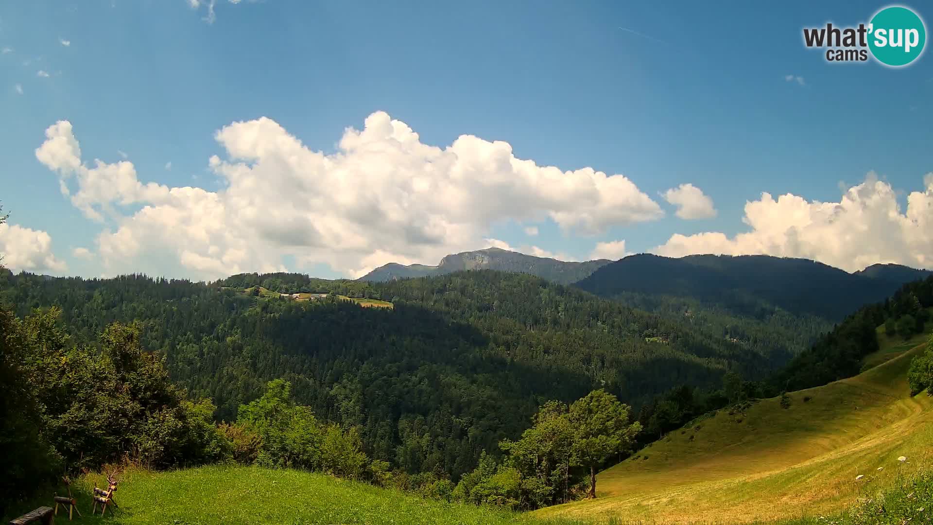 Webcam Brunarica Dražgoše – Live View of Ratitovec (1666 m)