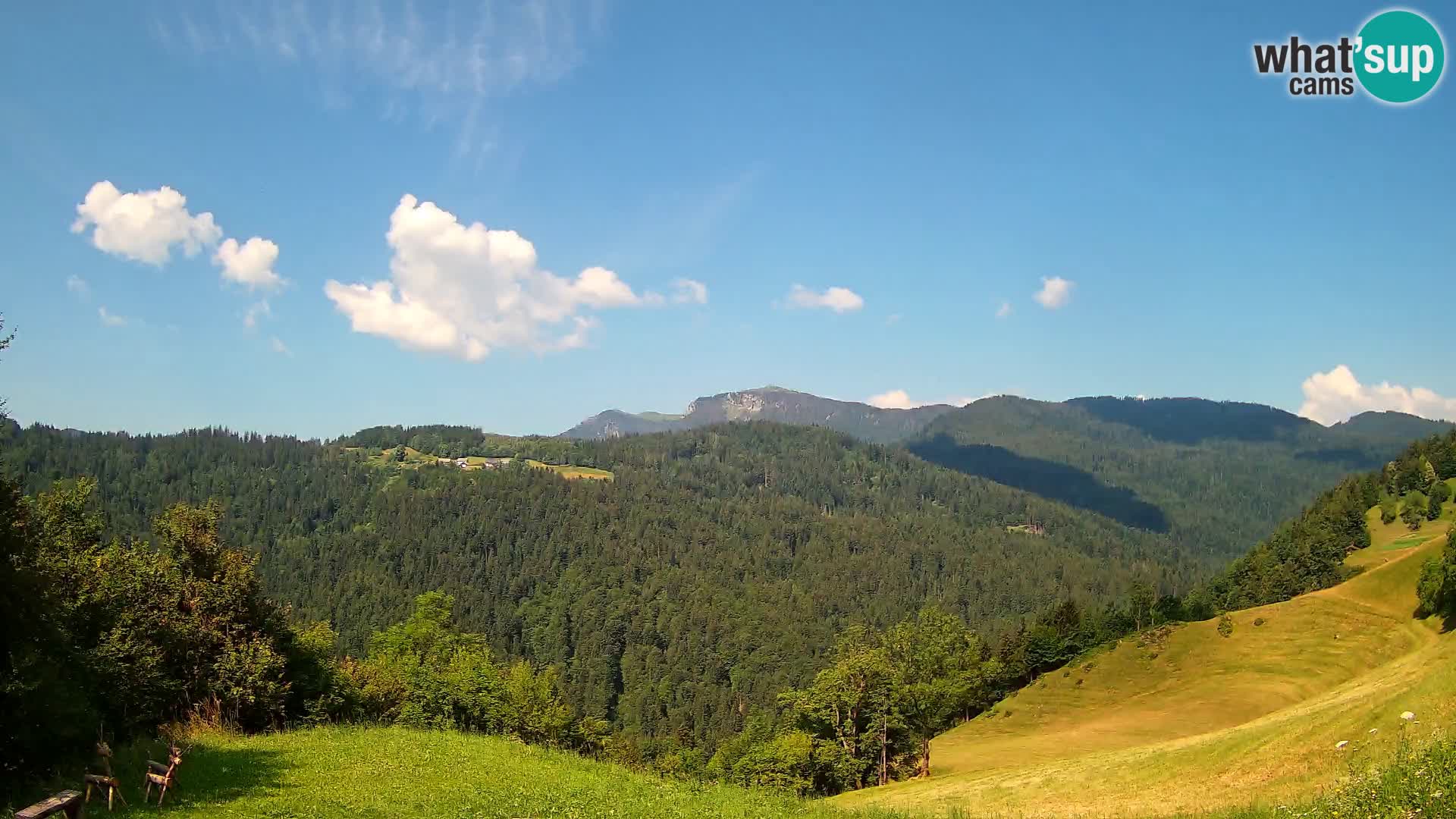 Webcam Brunarica Dražgoše – Live View of Ratitovec (1666 m)