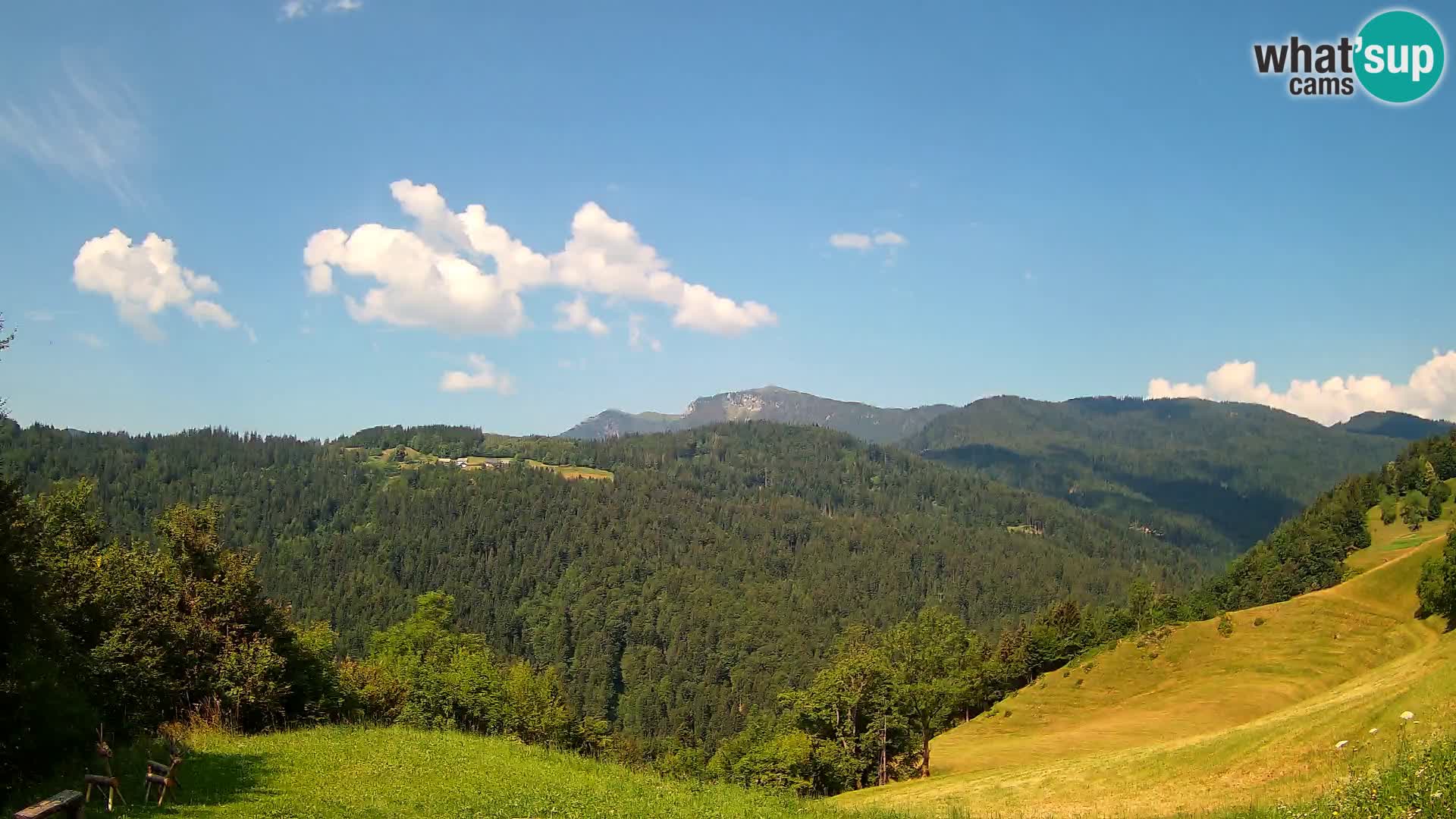 Webcam Brunarica Dražgoše – Live View of Ratitovec (1666 m)