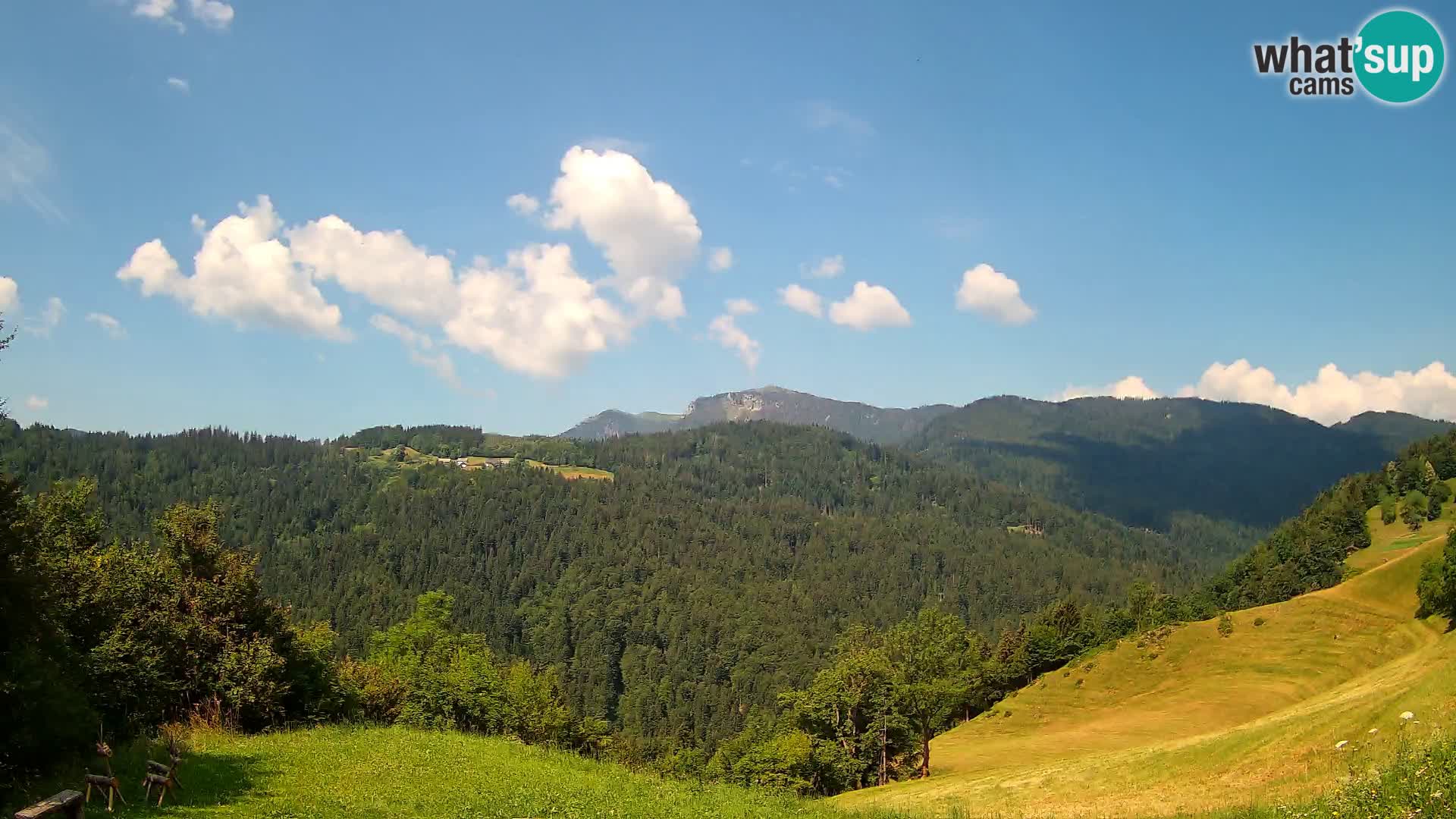 Webcam Brunarica Dražgoše – Live View of Ratitovec (1666 m)