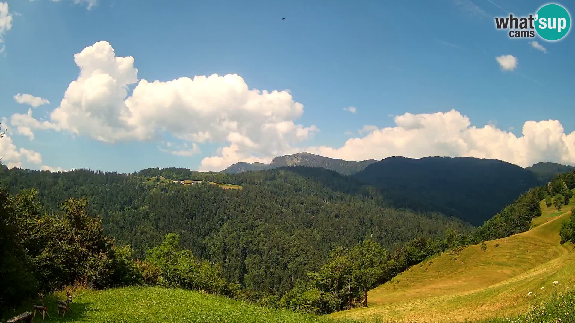 Webcam Brunarica Dražgoše – Vista live sul Ratitovec (1666 m)