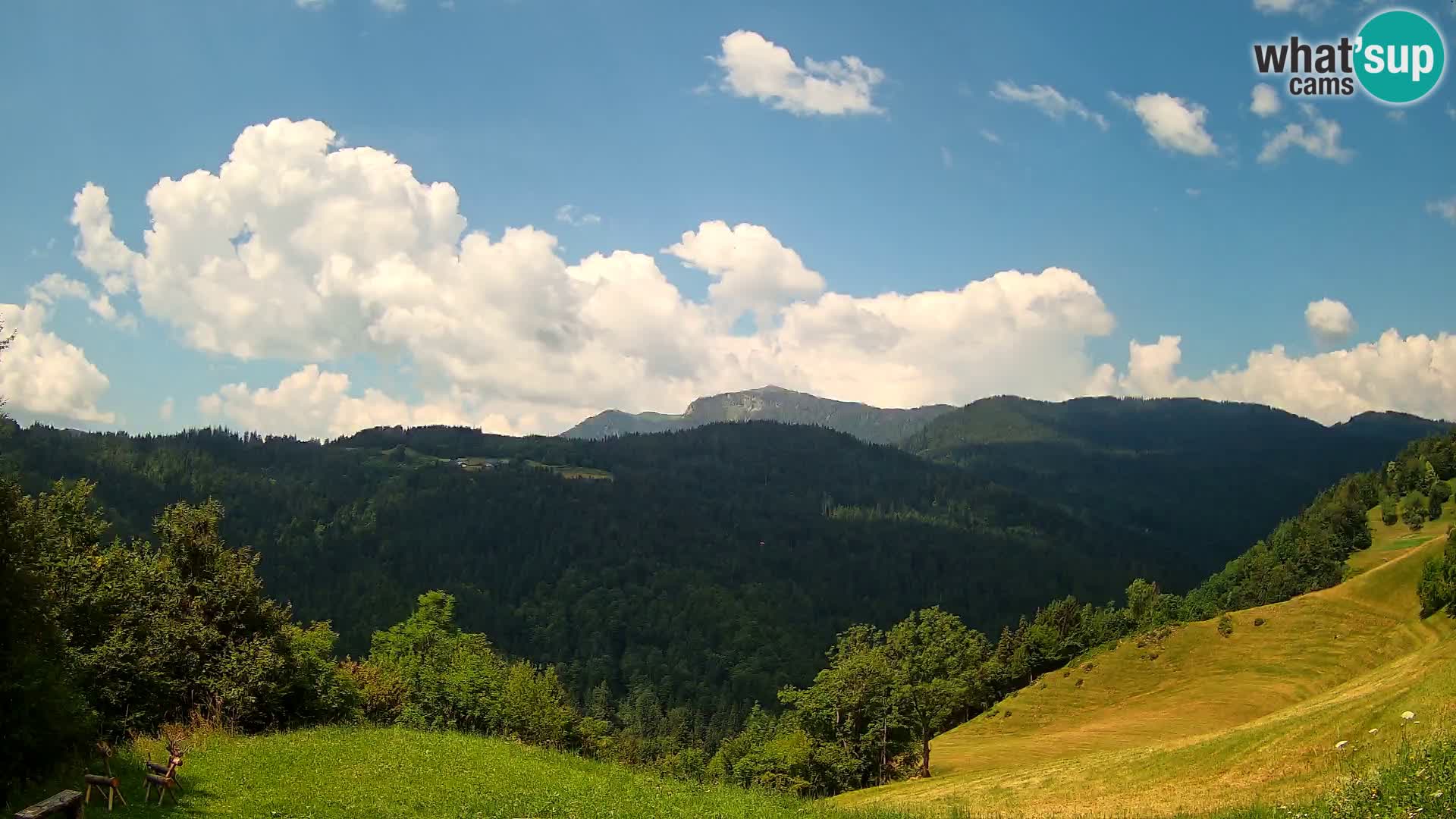 Webcam Brunarica Dražgoše – Live View of Ratitovec (1666 m)