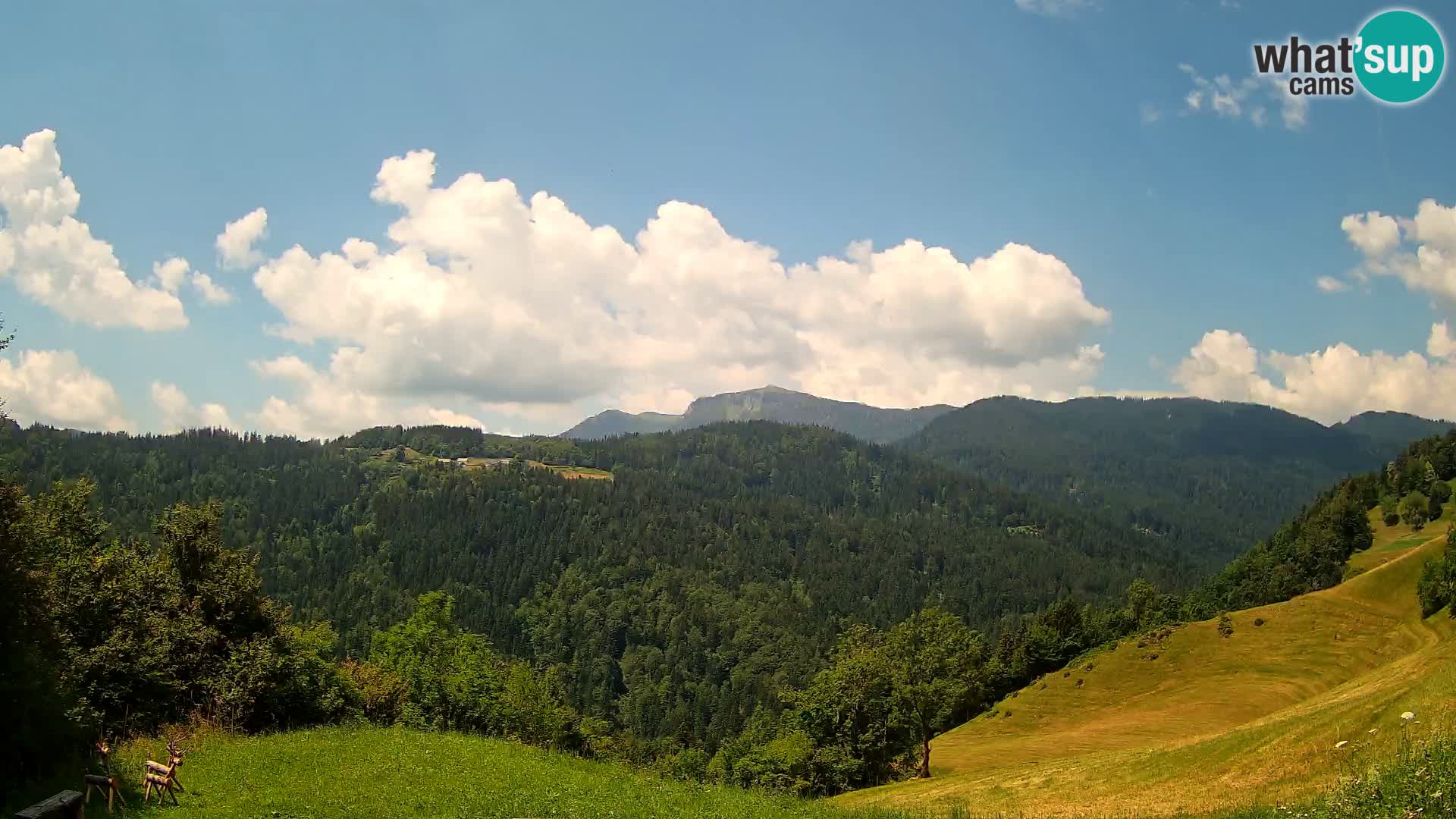 Web kamera Brunarica Dražgoše – Pogled uživo na Ratitovec (1666 m)