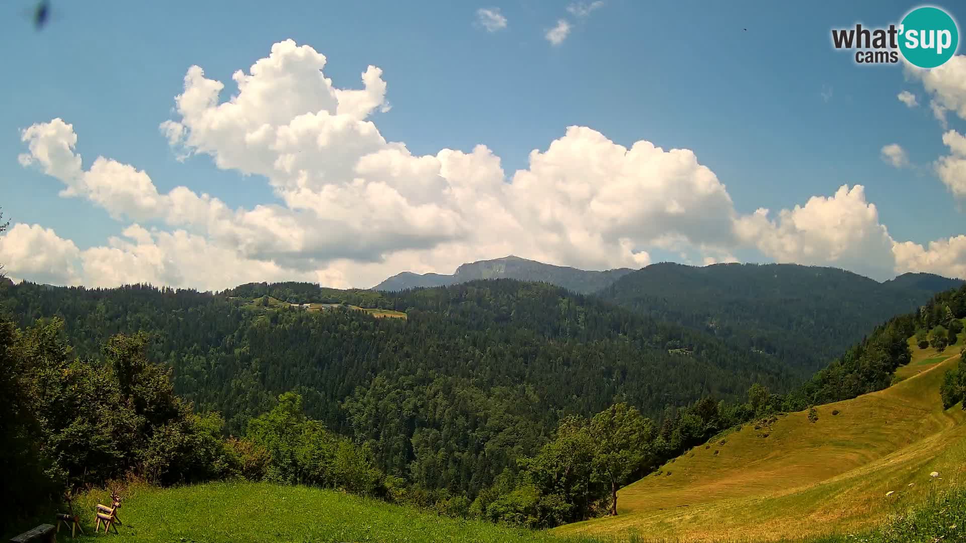 Webcam Brunarica Dražgoše – Live View of Ratitovec (1666 m)