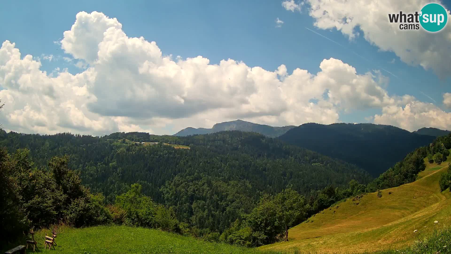 Webcam Brunarica Dražgoše – Live View of Ratitovec (1666 m)