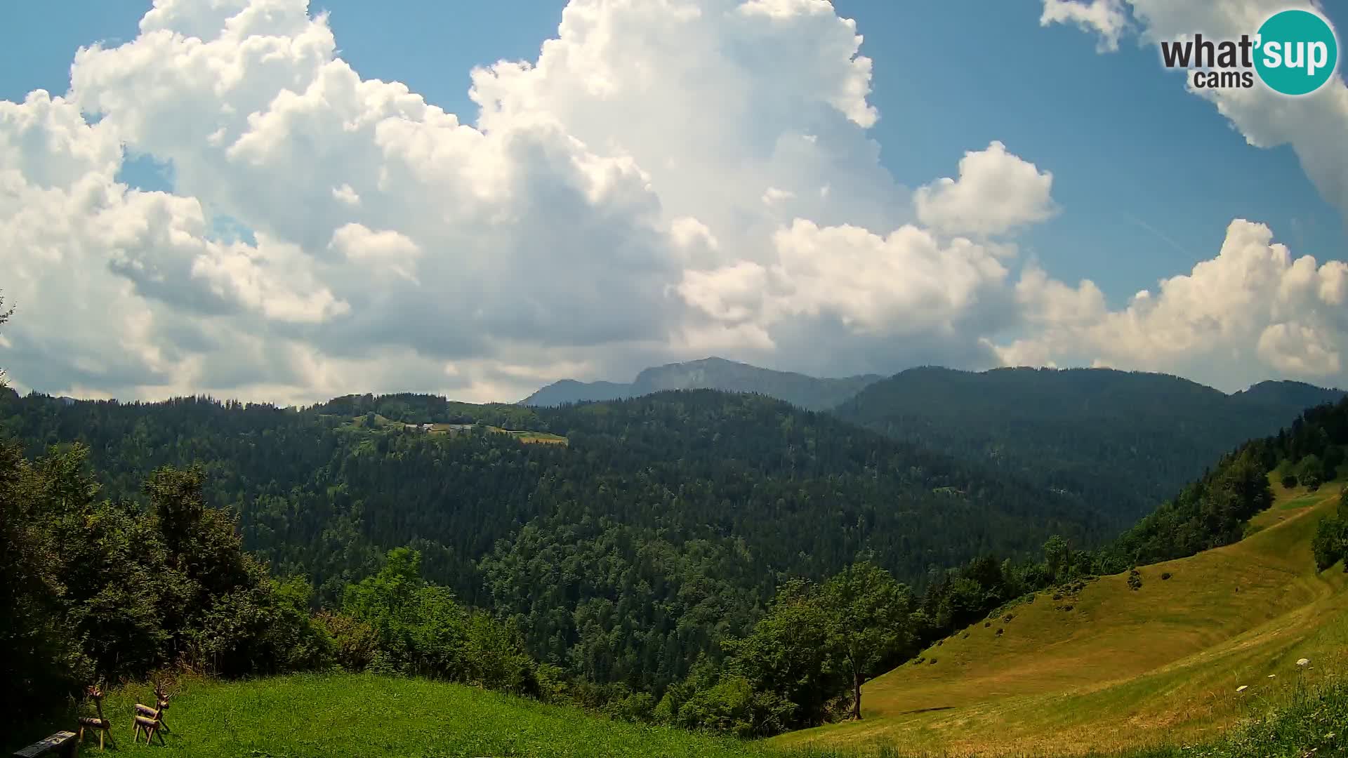 Webcam Brunarica Dražgoše – Live View of Ratitovec (1666 m)