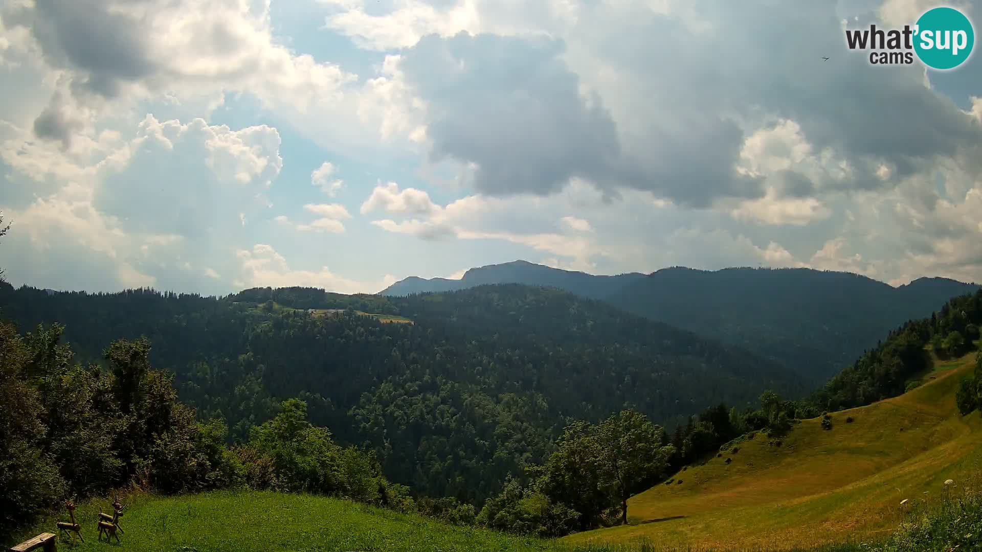 Webcam Brunarica Dražgoše – Live View of Ratitovec (1666 m)