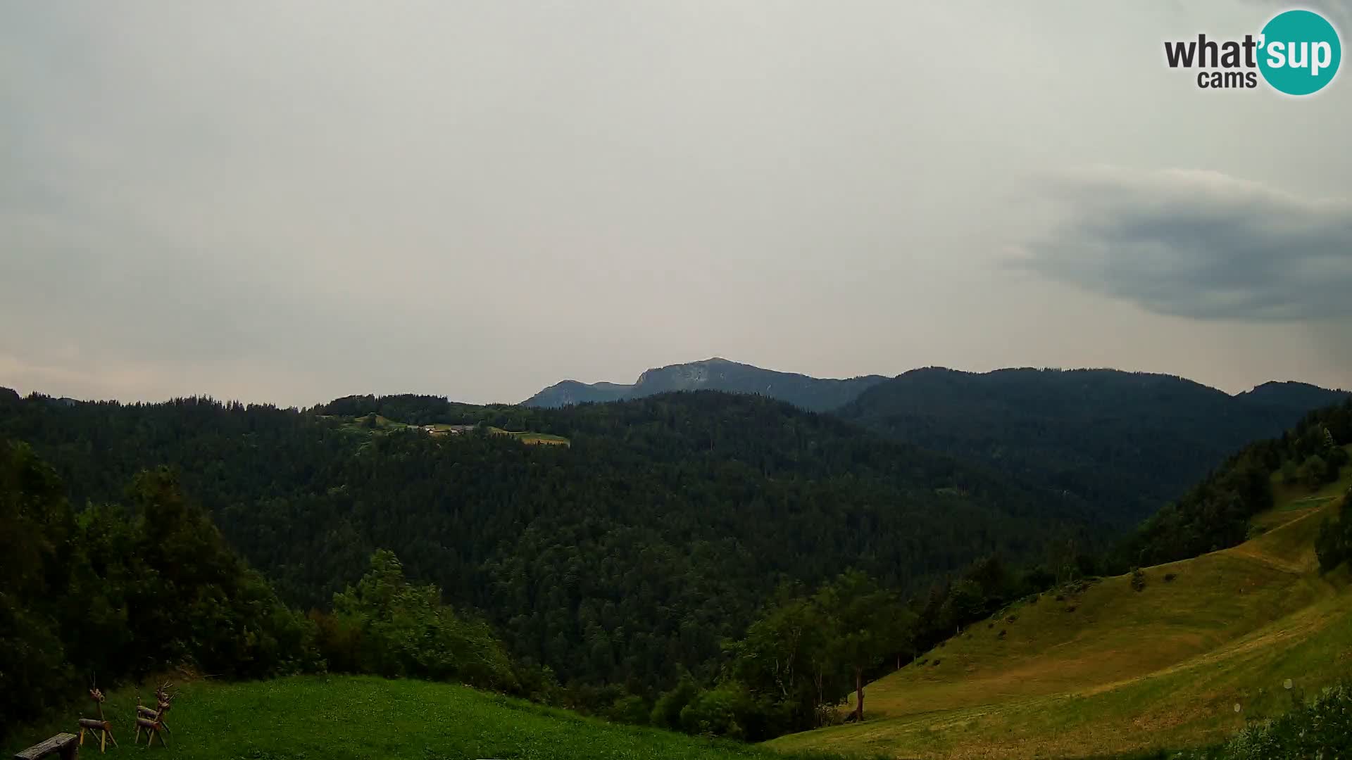 Webcam Brunarica Dražgoše – Live View of Ratitovec (1666 m)