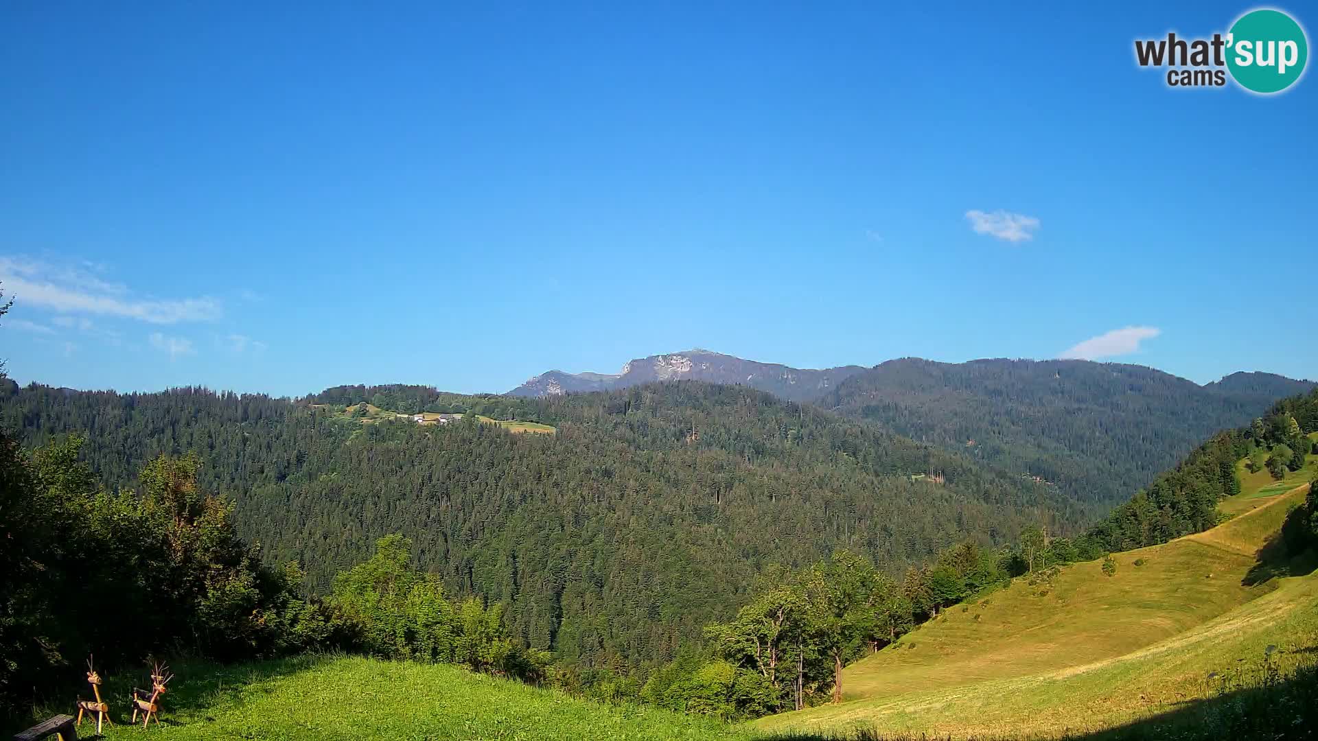 Webcam Brunarica Dražgoše – Live View of Ratitovec (1666 m)