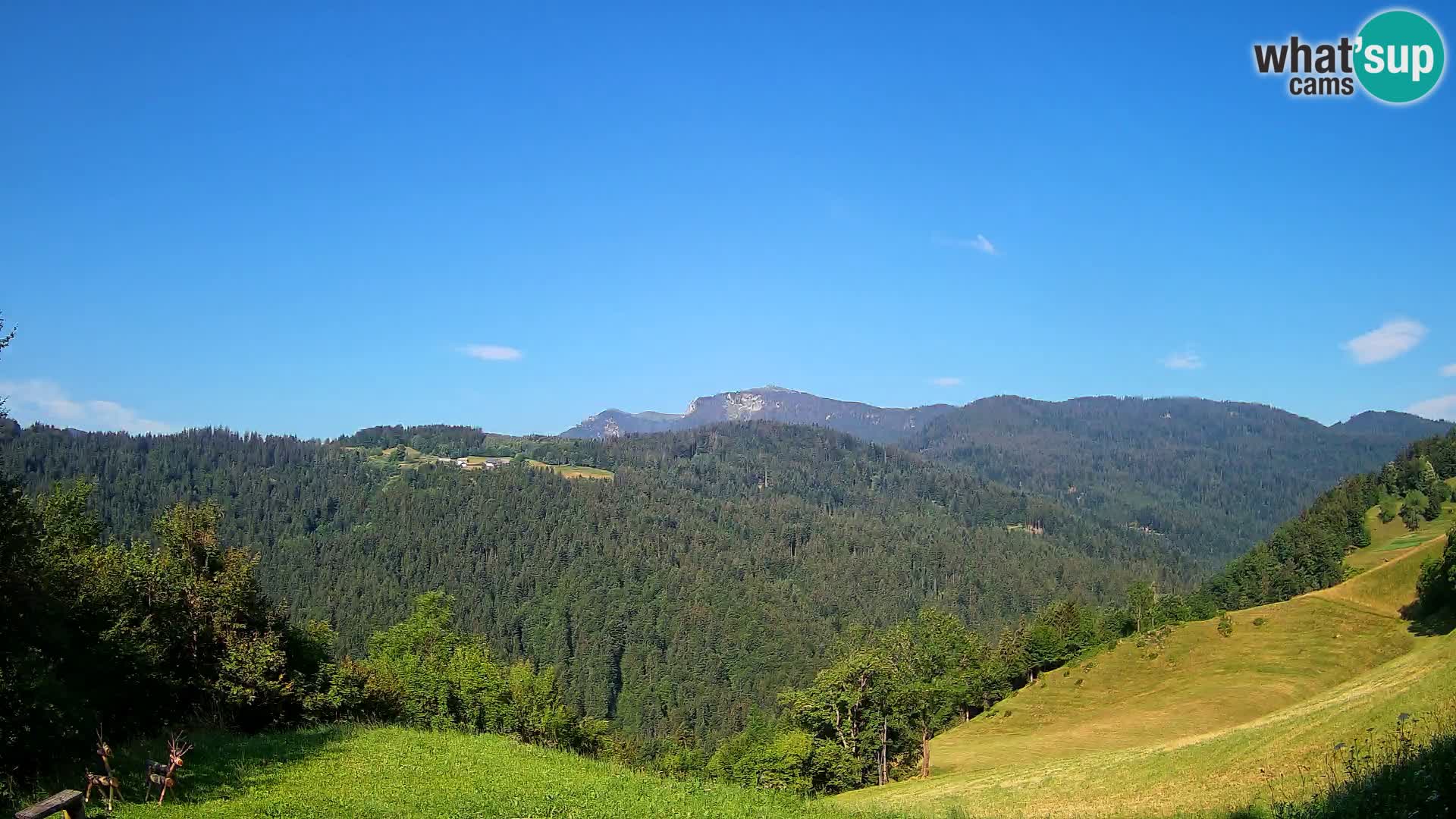 Webcam Brunarica Dražgoše – Live View of Ratitovec (1666 m)