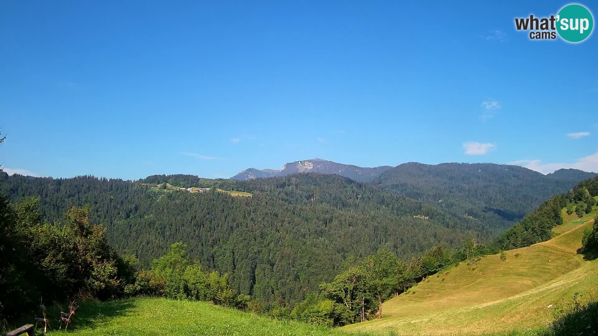Webcam Brunarica Dražgoše – Live View of Ratitovec (1666 m)