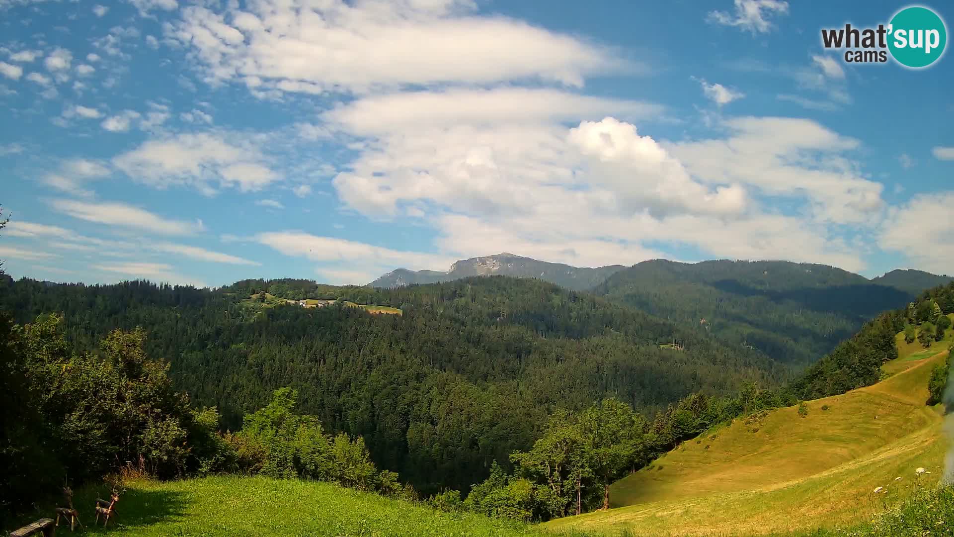 Spletna kamera Brunarica Dražgoše – Pogled v živo na Ratitovec (1666 m)