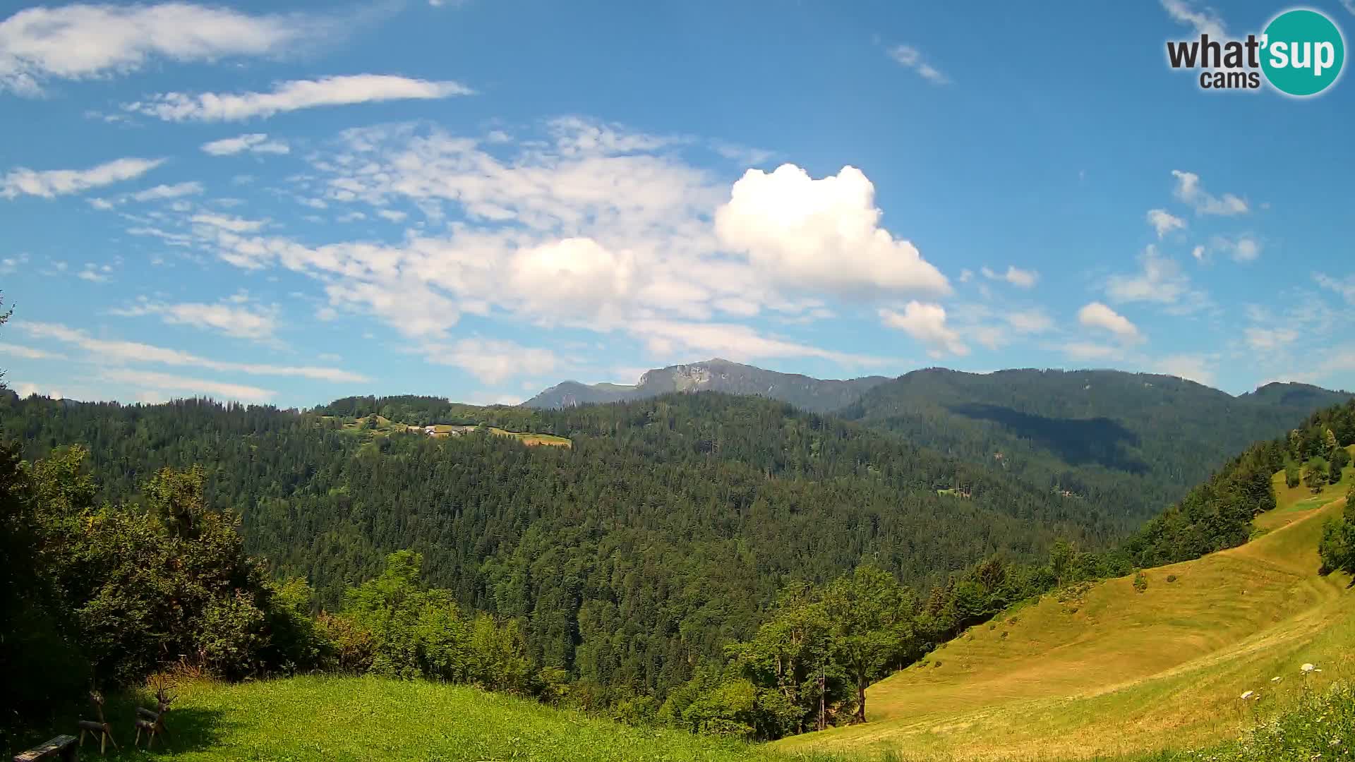 Webcam Brunarica Dražgoše – Live View of Ratitovec (1666 m)