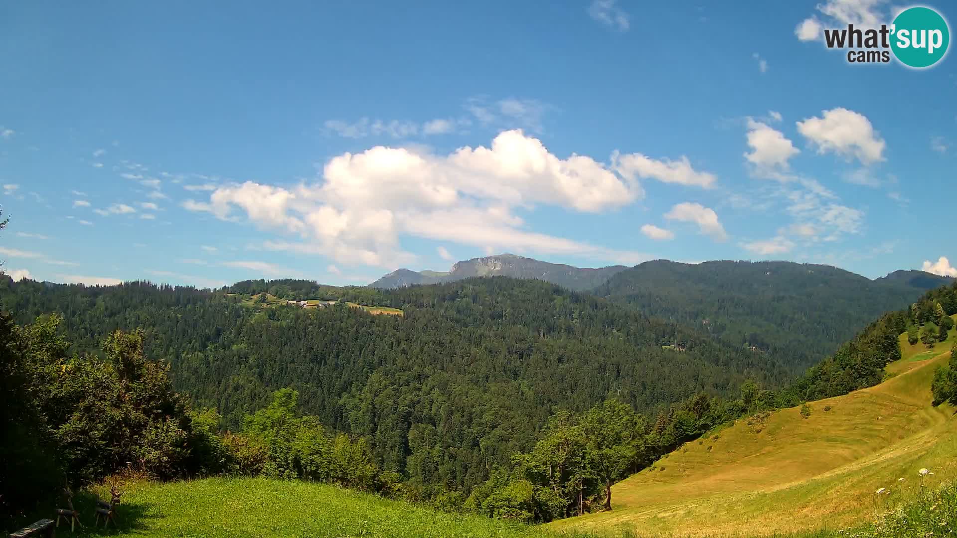 Webcam Brunarica Dražgoše – Live View of Ratitovec (1666 m)