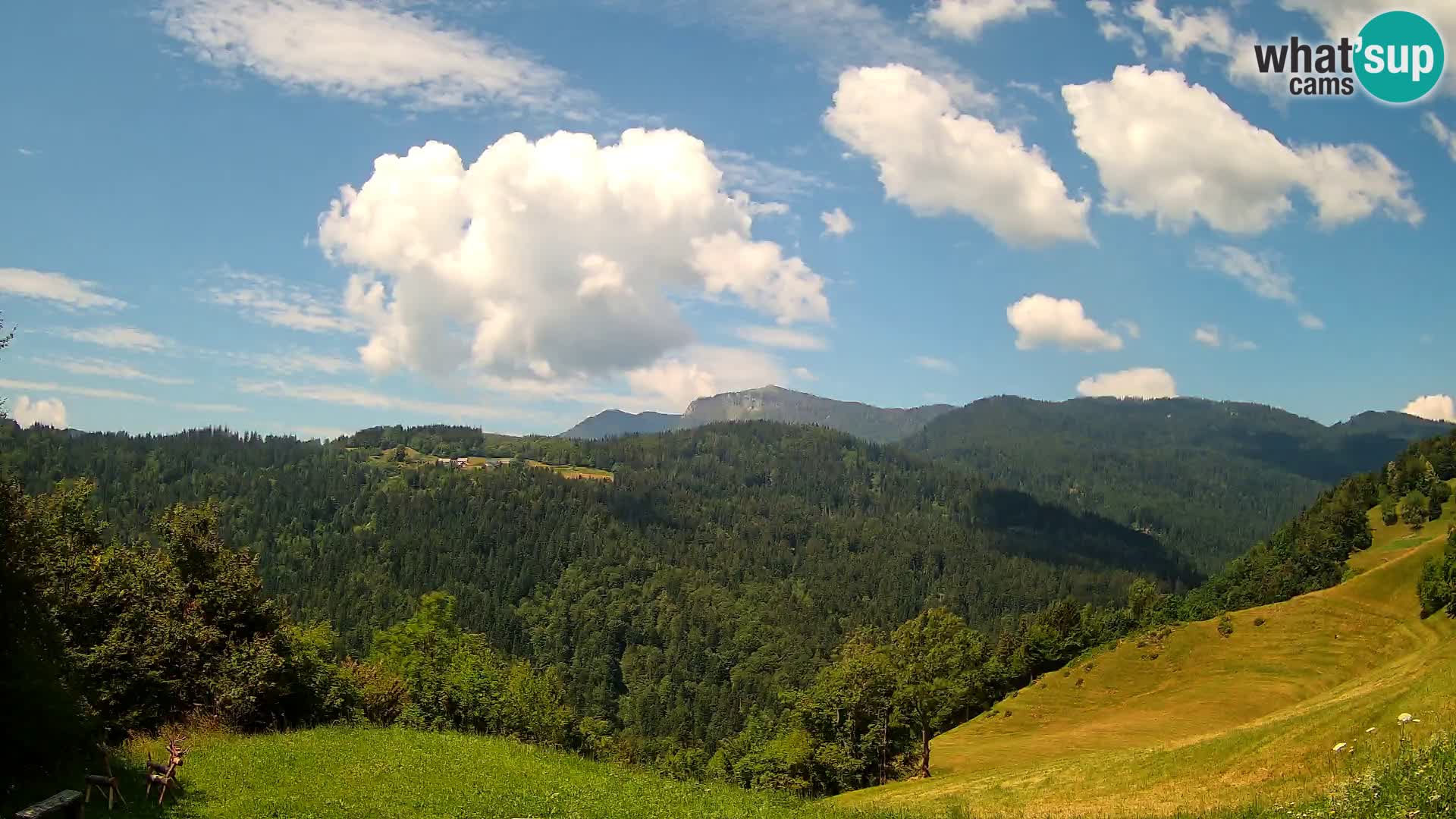 Webcam Brunarica Dražgoše – Live View of Ratitovec (1666 m)