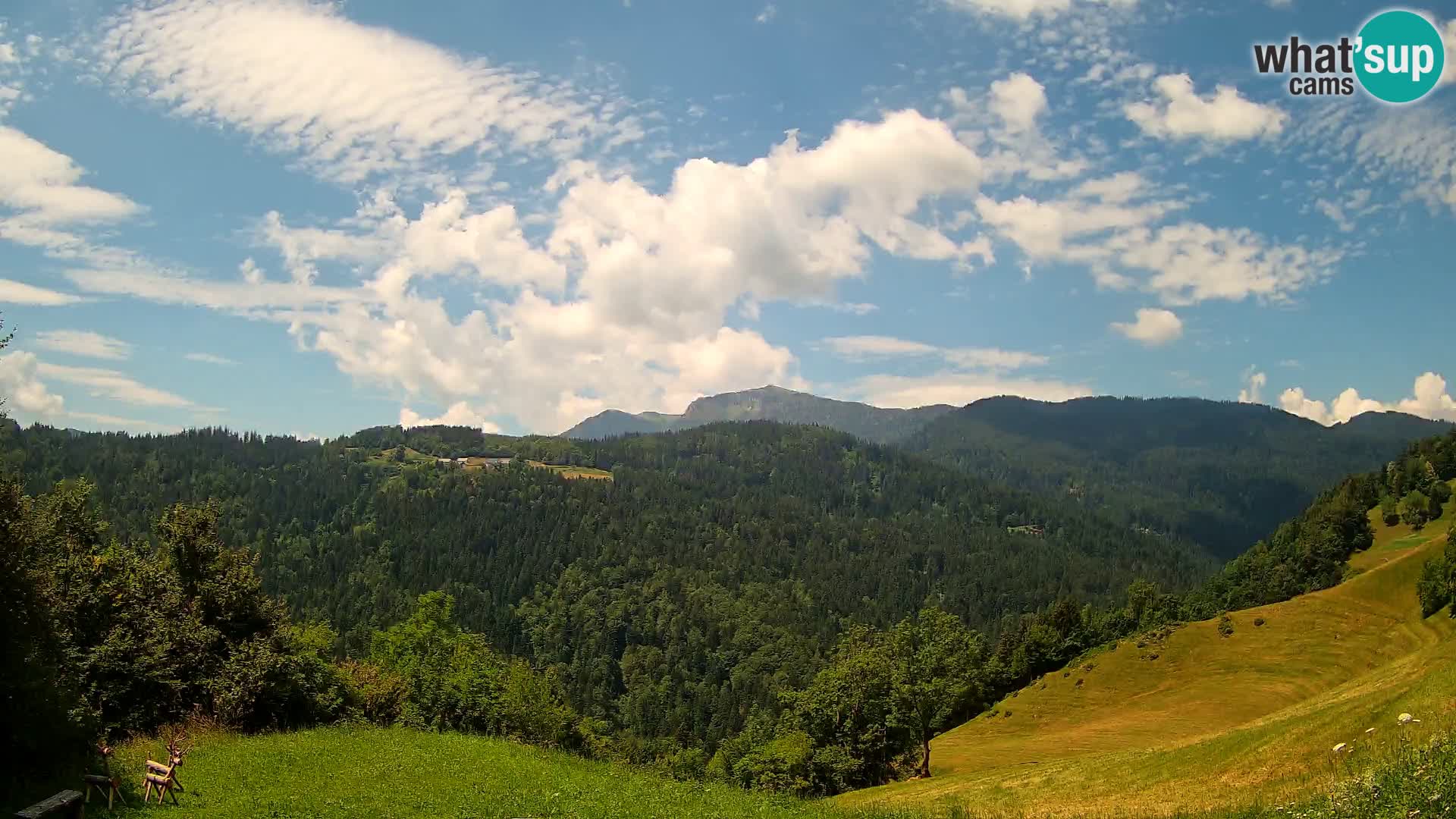 Webcam Brunarica Dražgoše – Live View of Ratitovec (1666 m)