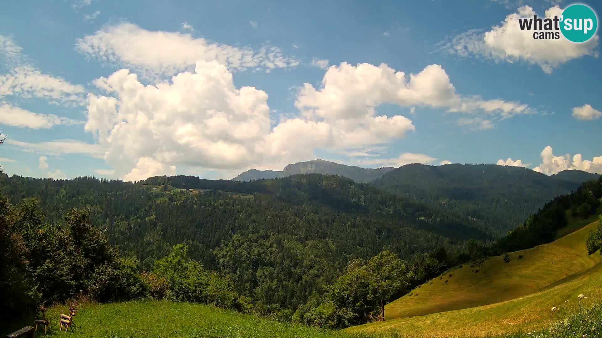 Webcam Brunarica Dražgoše – Live View of Ratitovec (1666 m)