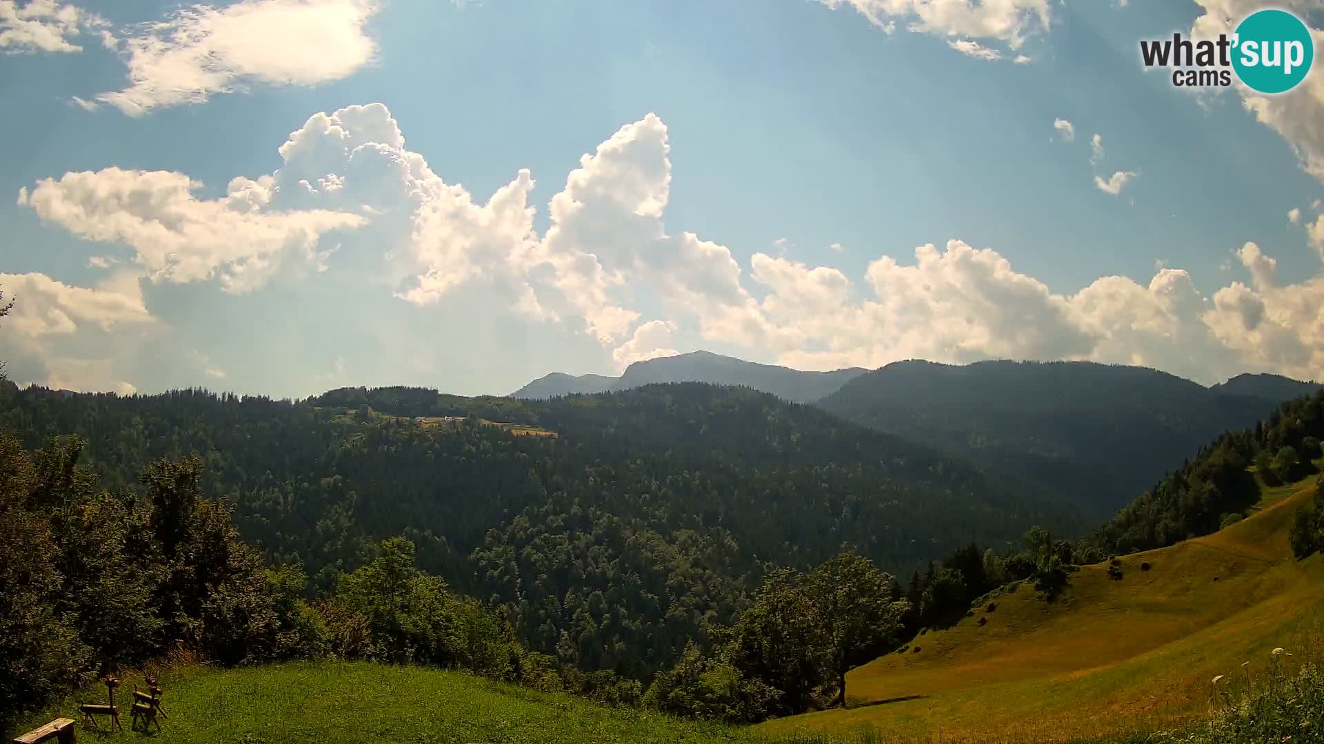 Webcam Brunarica Dražgoše – Live View of Ratitovec (1666 m)