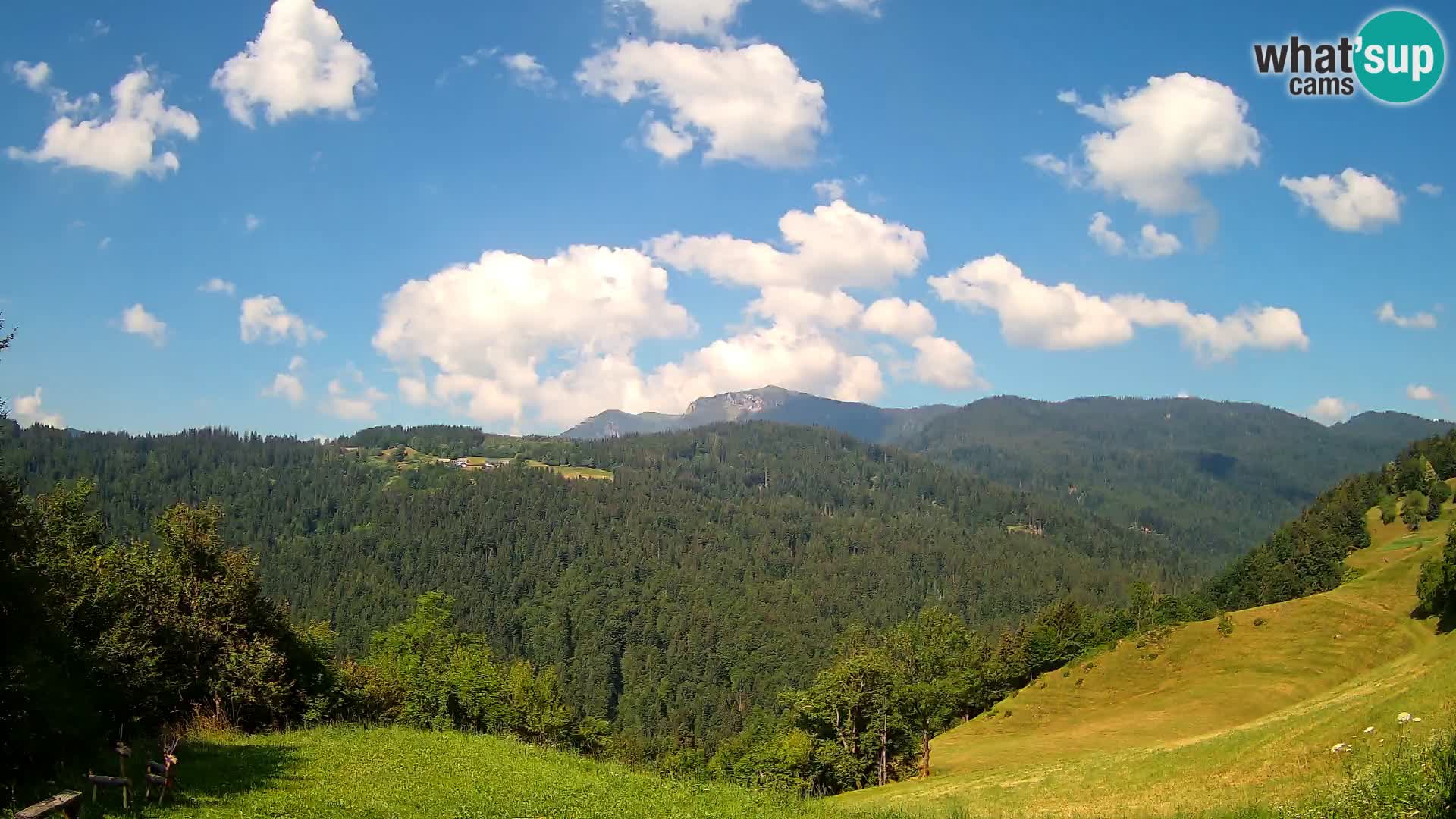 Web kamera Brunarica Dražgoše – Pogled uživo na Ratitovec (1666 m)