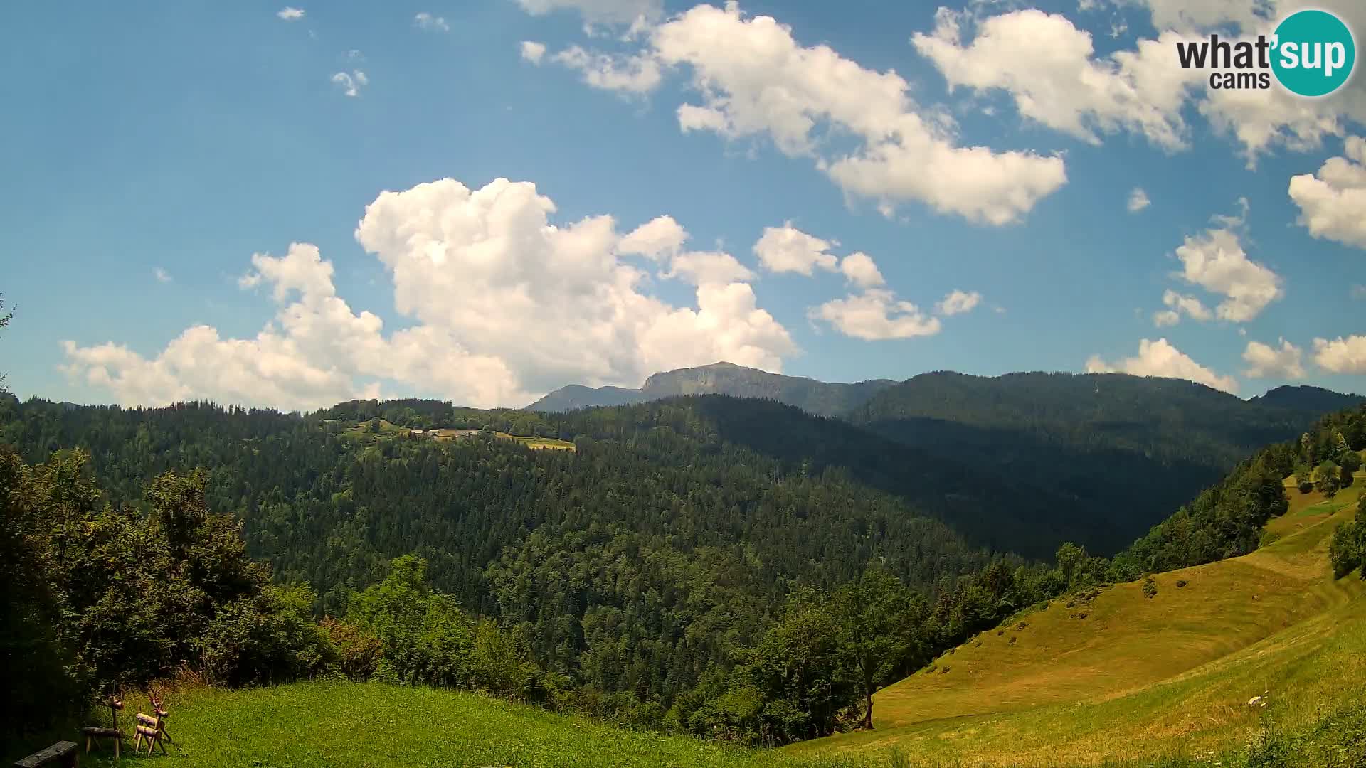 Spletna kamera Brunarica Dražgoše – Pogled v živo na Ratitovec (1666 m)